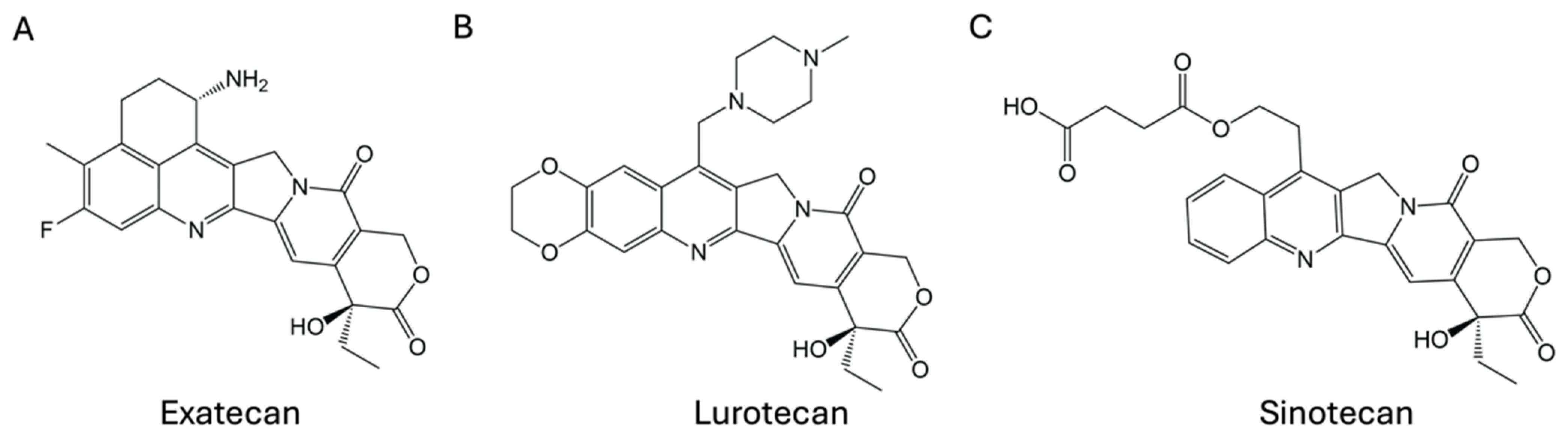 Cancers 17 01032 g001