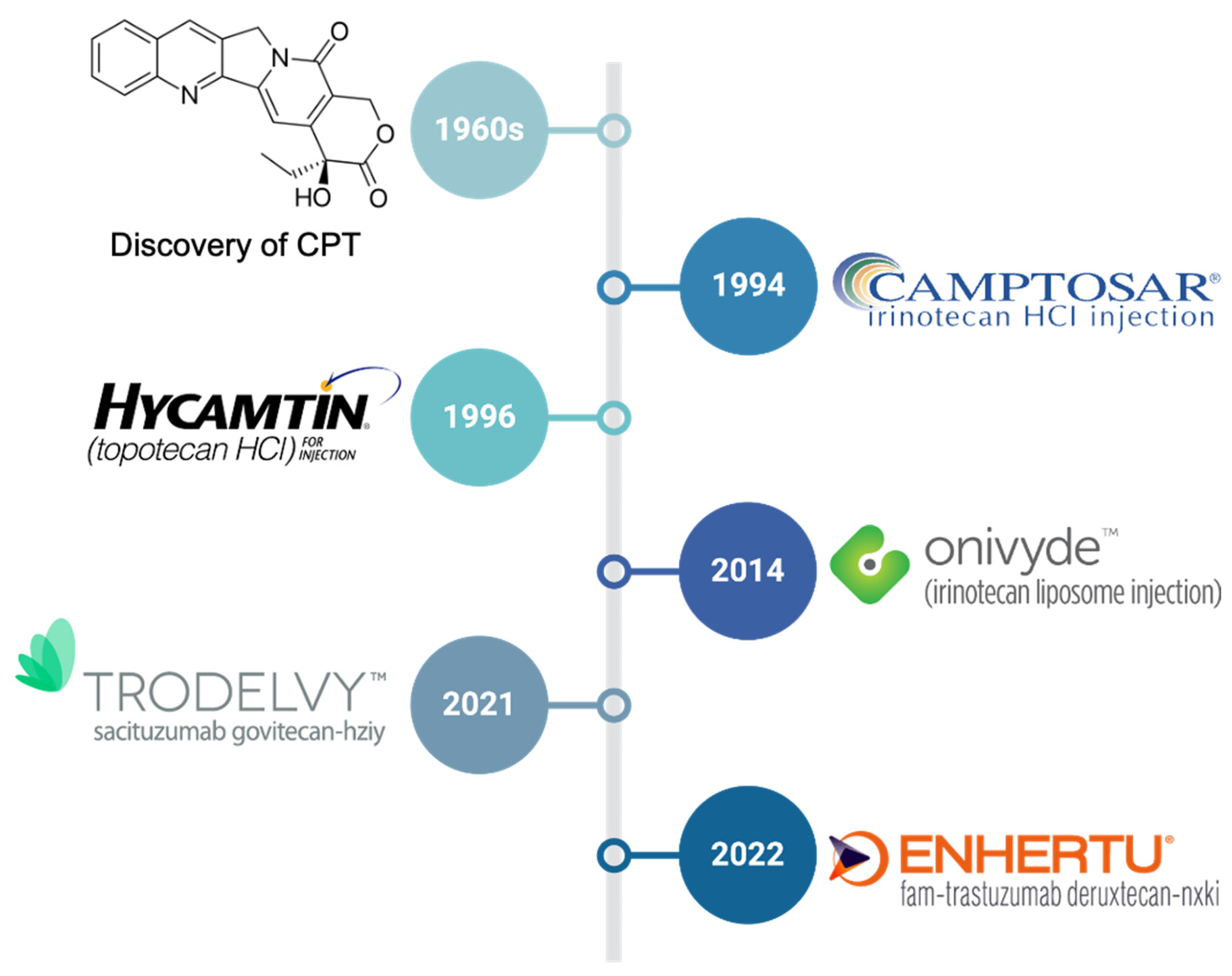 Cancers 17 01032 g002
