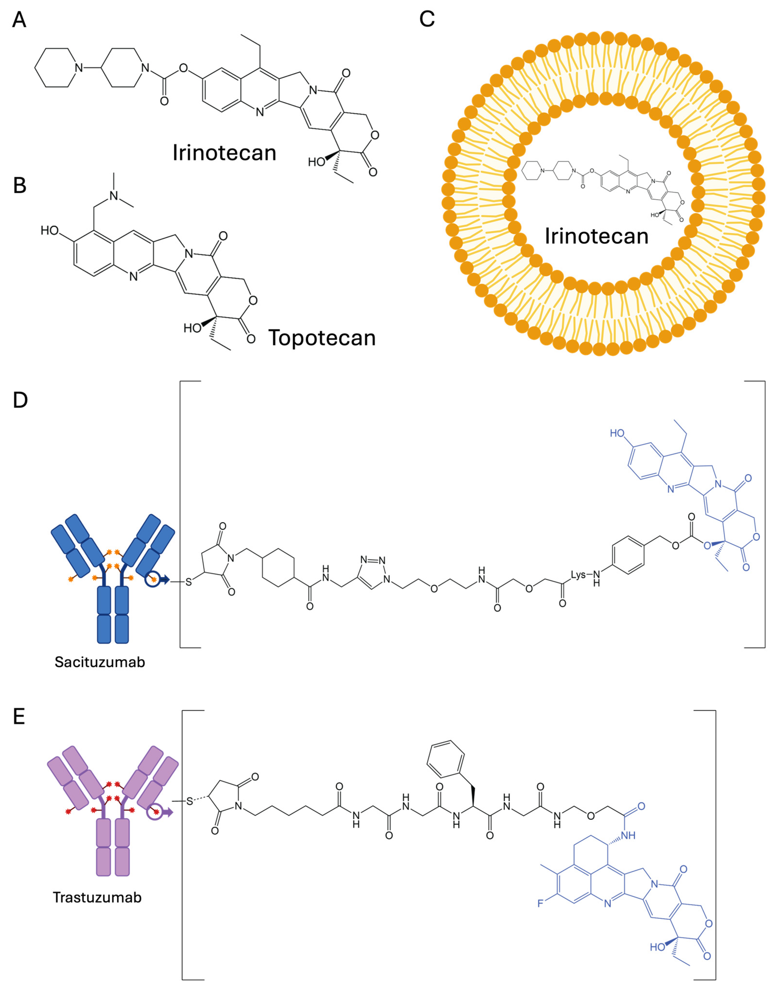 Cancers 17 01032 g003