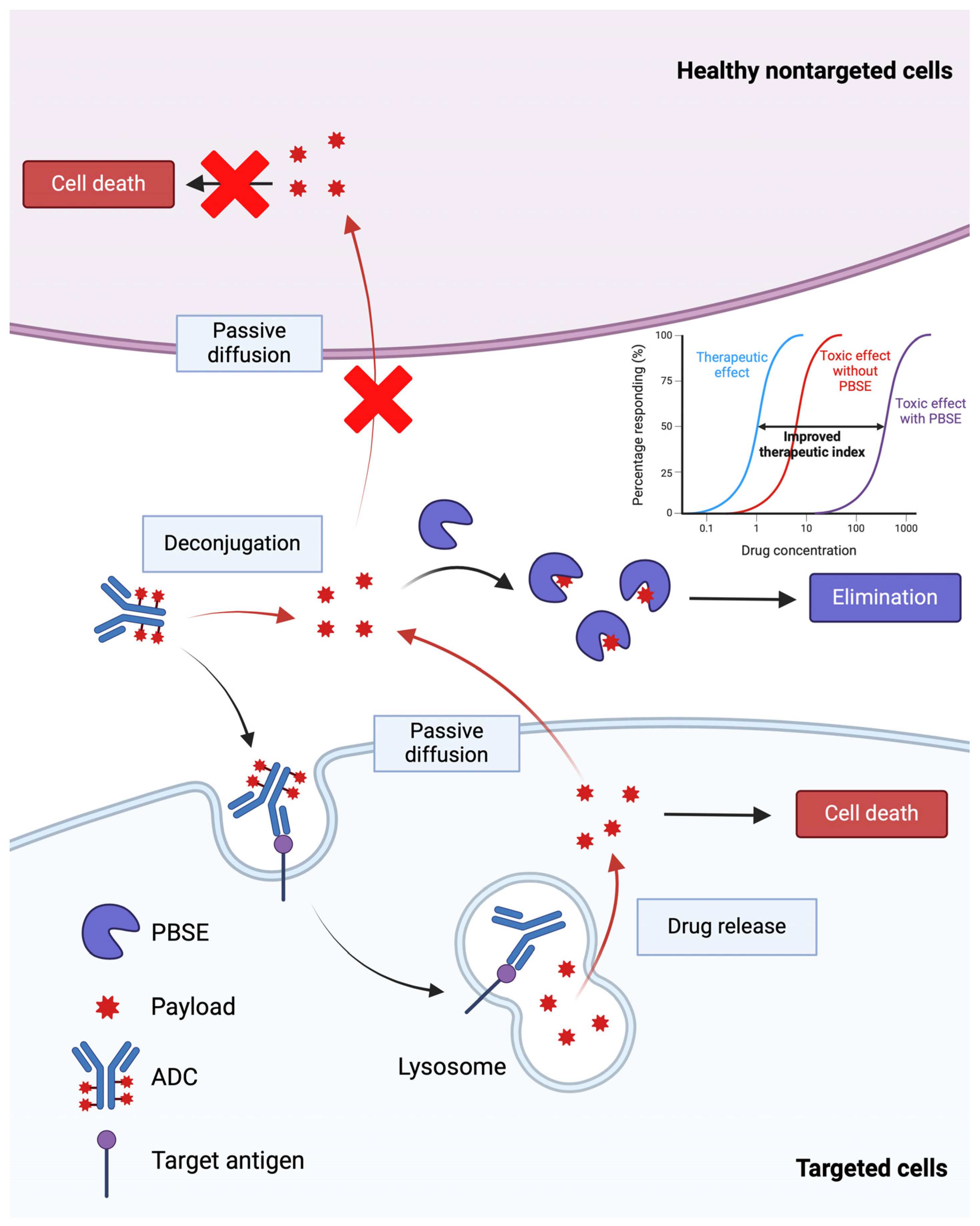 Cancers 17 01032 g005
