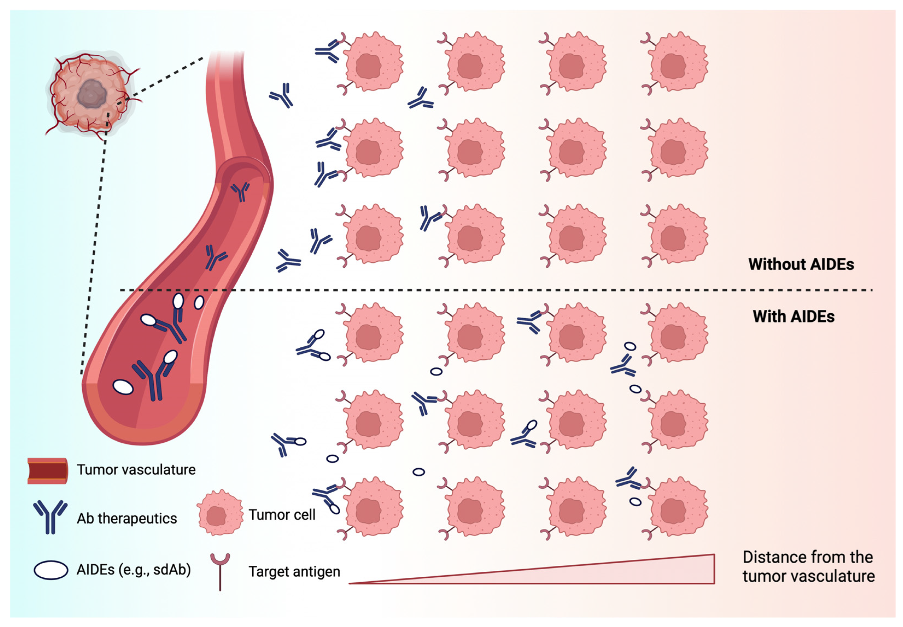 Cancers 17 01032 g006