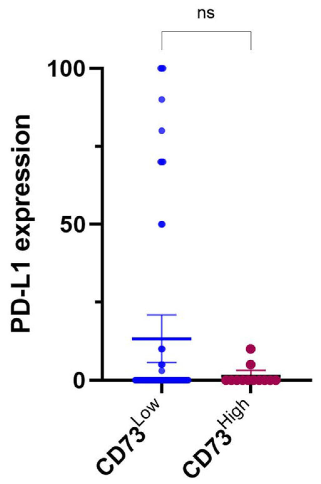 Cancers 17 01034 g002