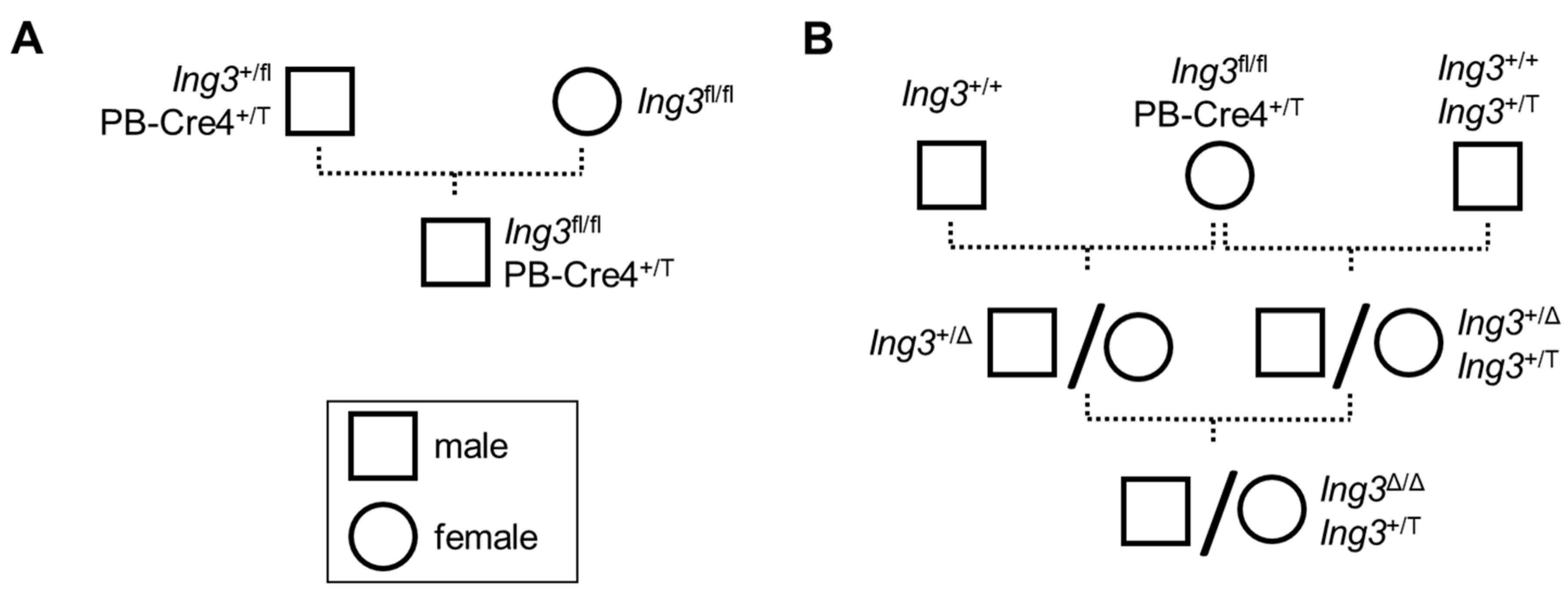 Cancers 17 01037 g001