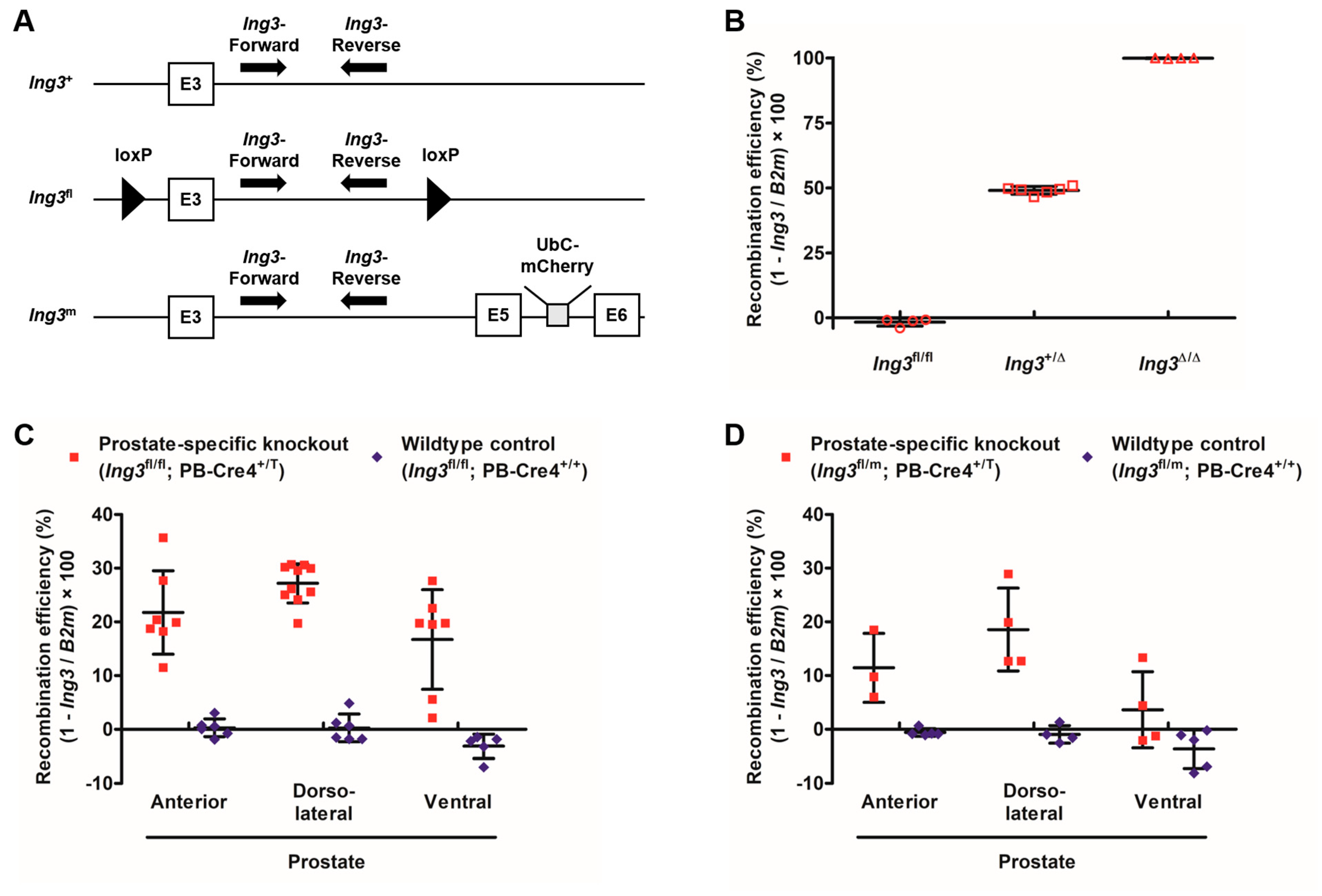 Cancers 17 01037 g005