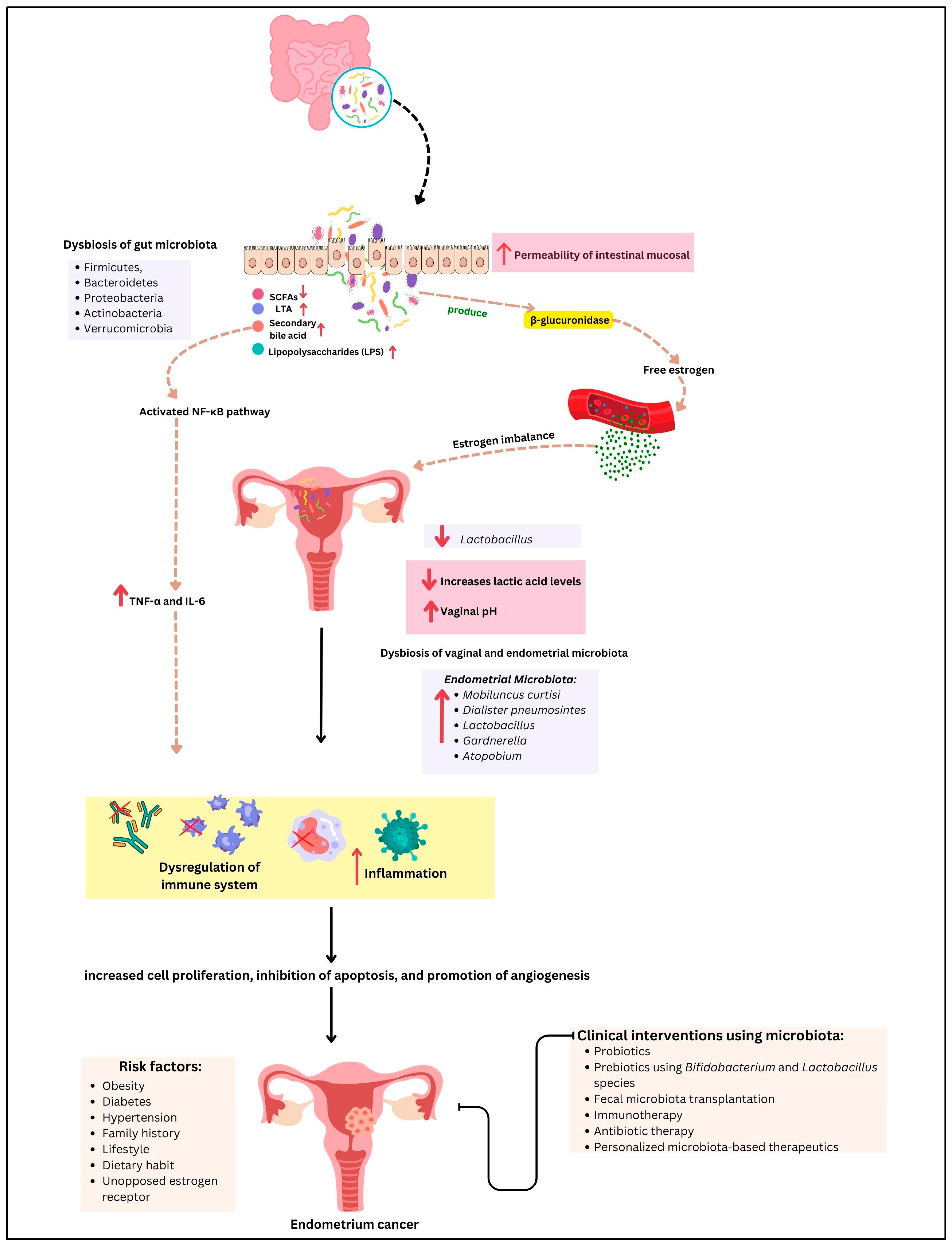 Cancers 17 01044 g002