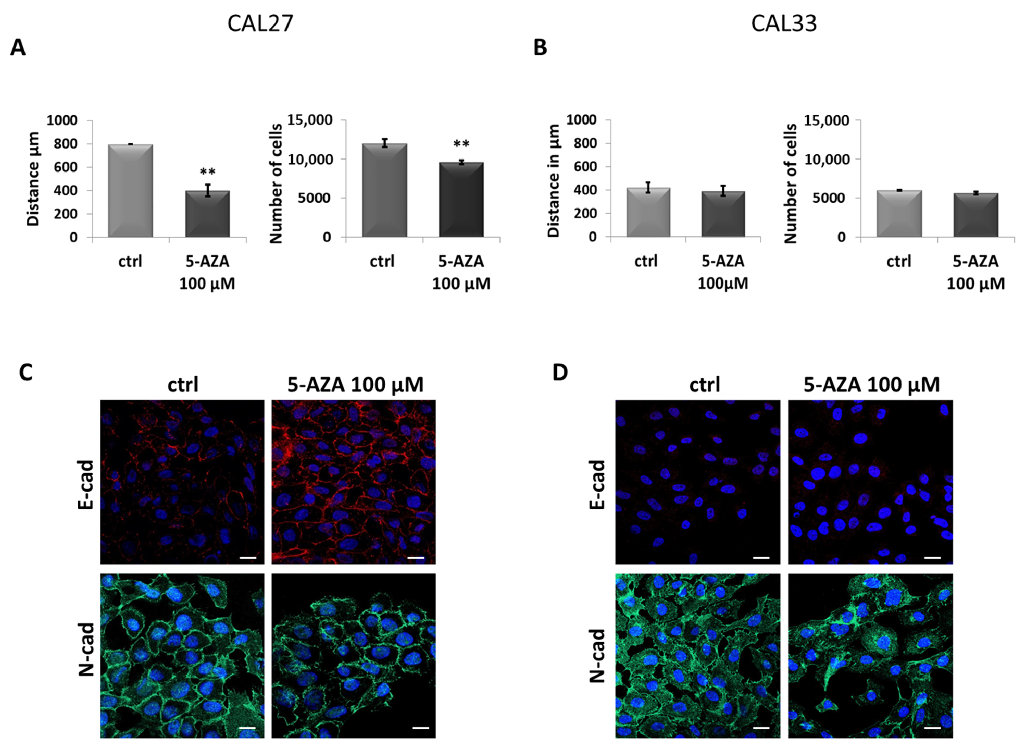 Cancers 17 01058 g002