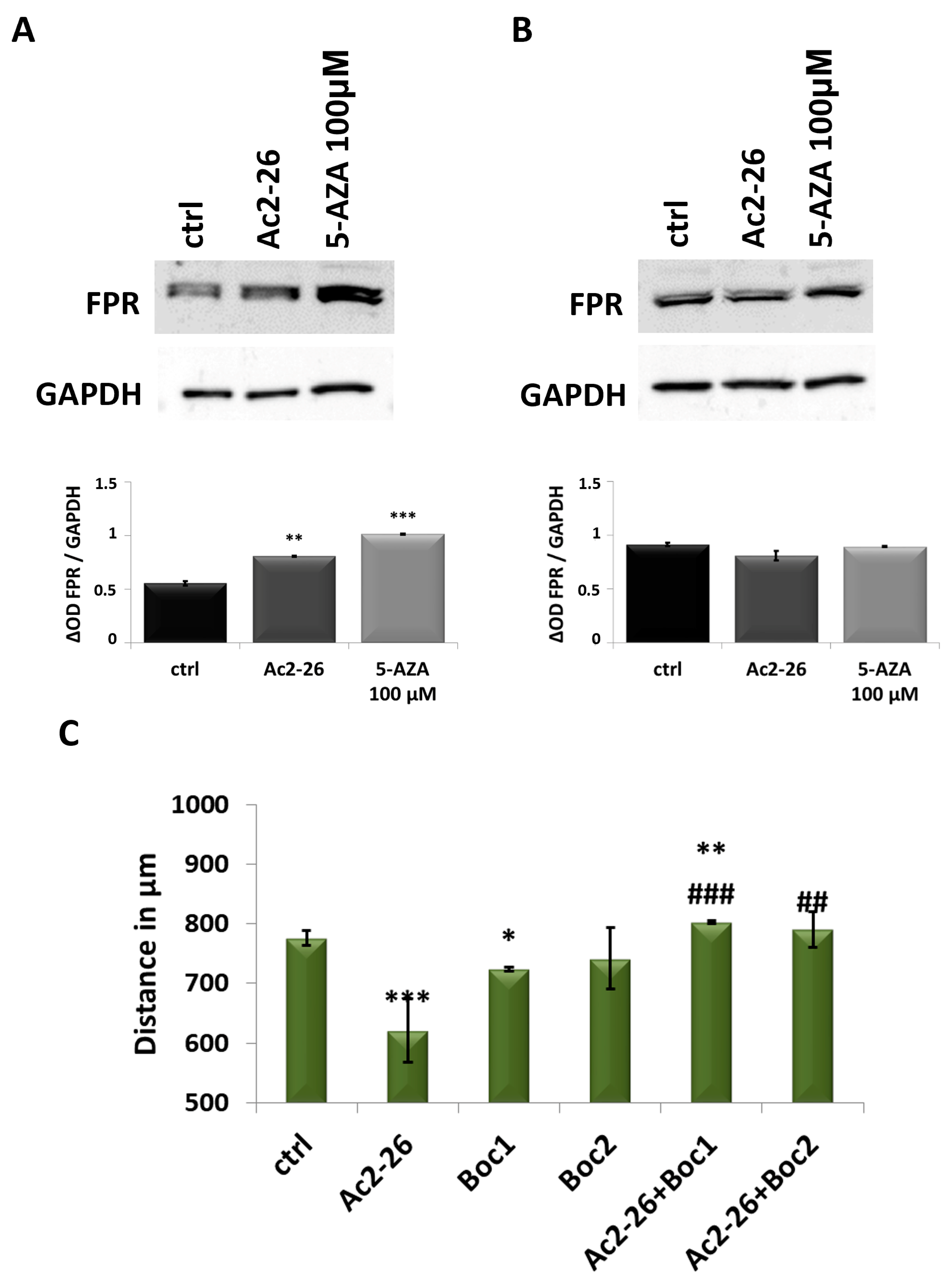Cancers 17 01058 g006