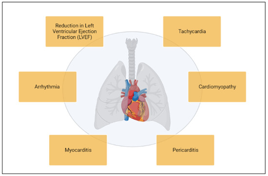From Bench to Bedside: Translational Approaches to Cardiotoxicity