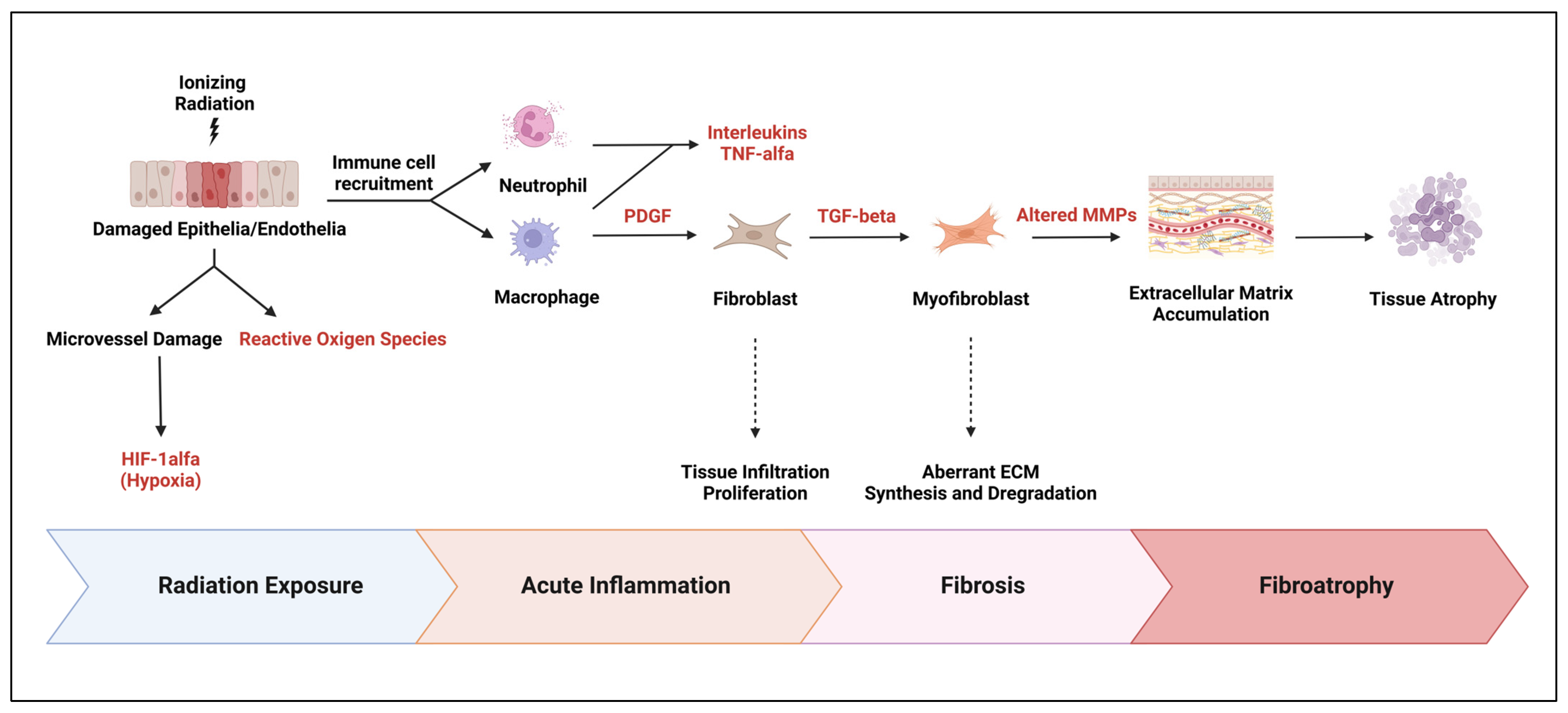 Cancers 17 01059 g003