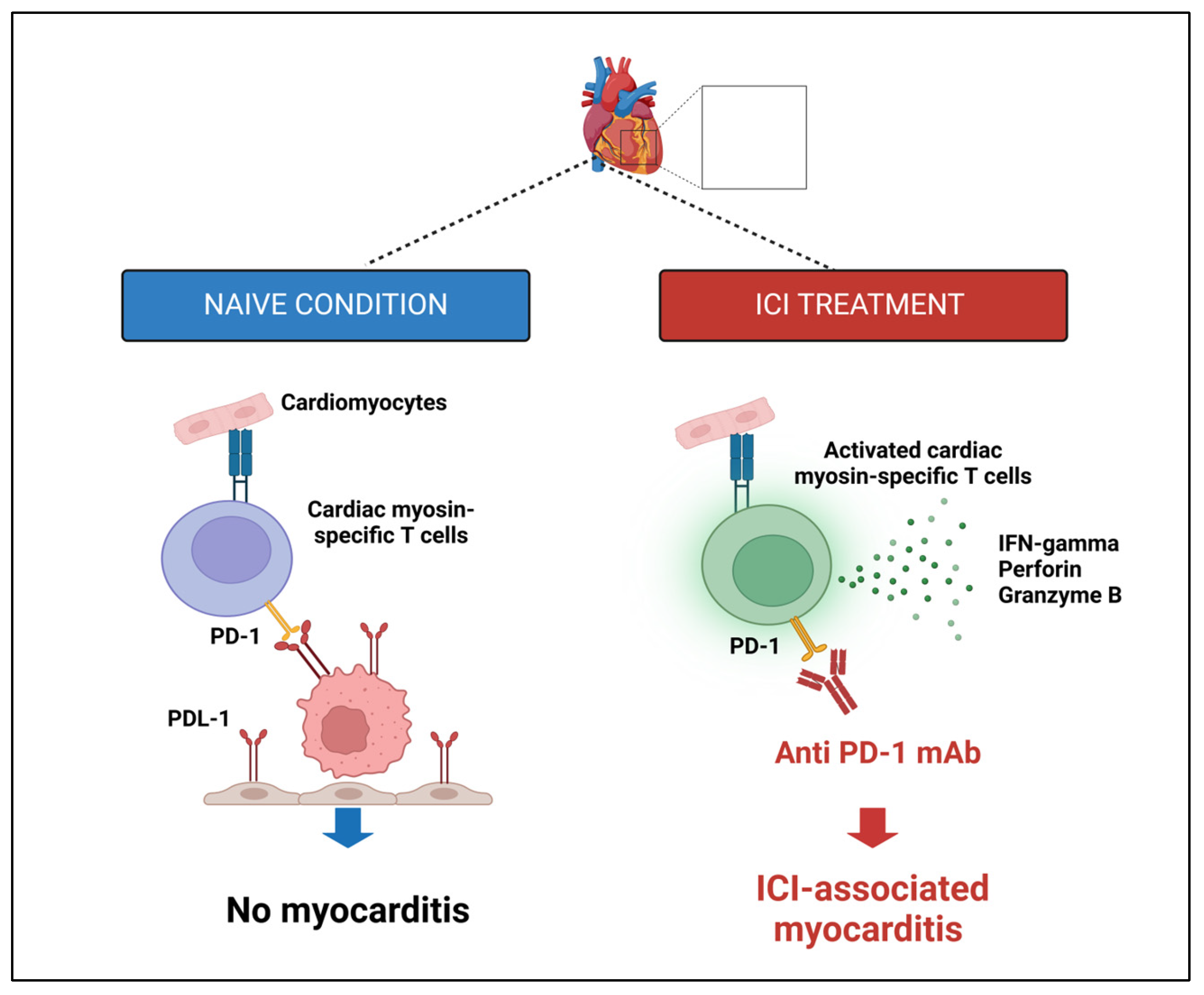 Cancers 17 01059 g004