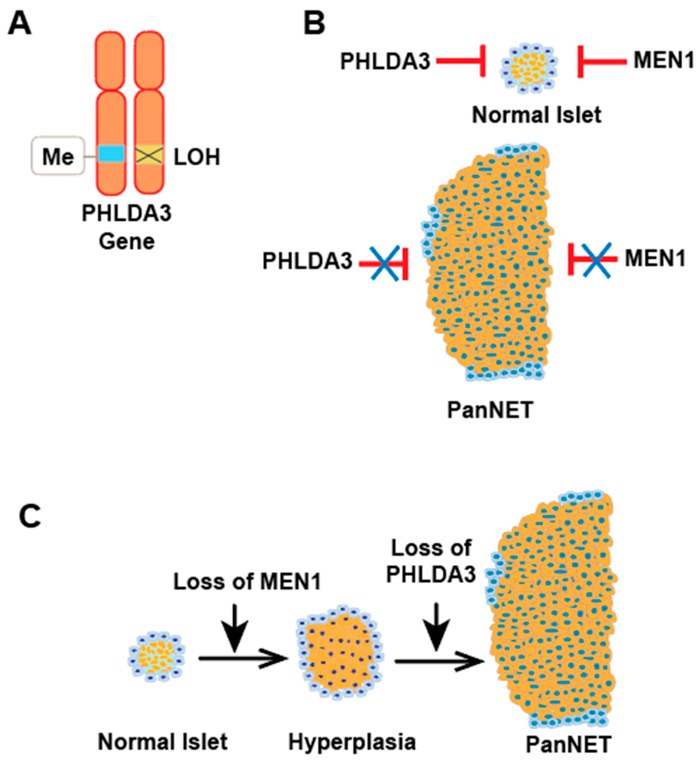 Cancers 17 01069 g005