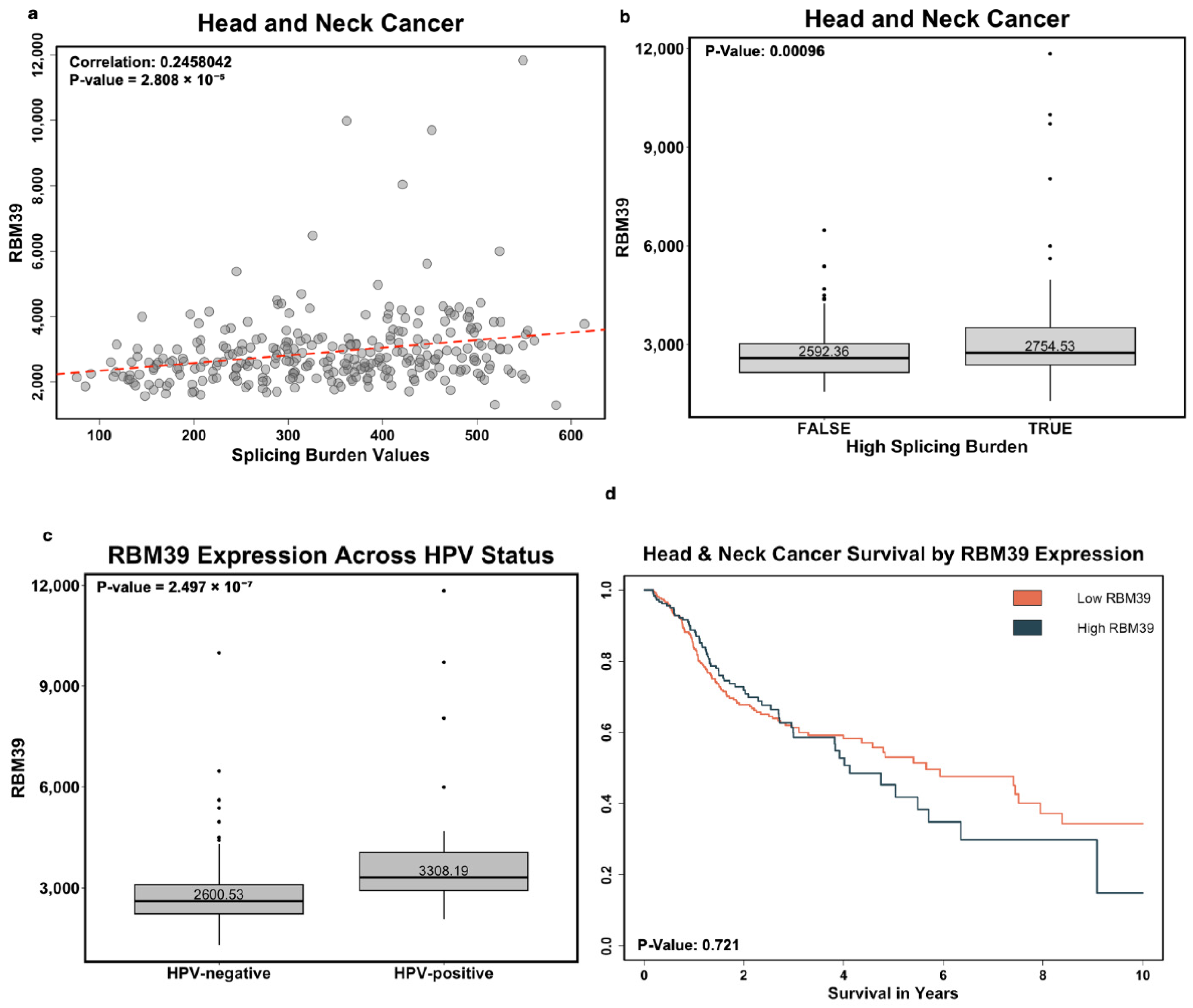 Cancers 17 01072 g001