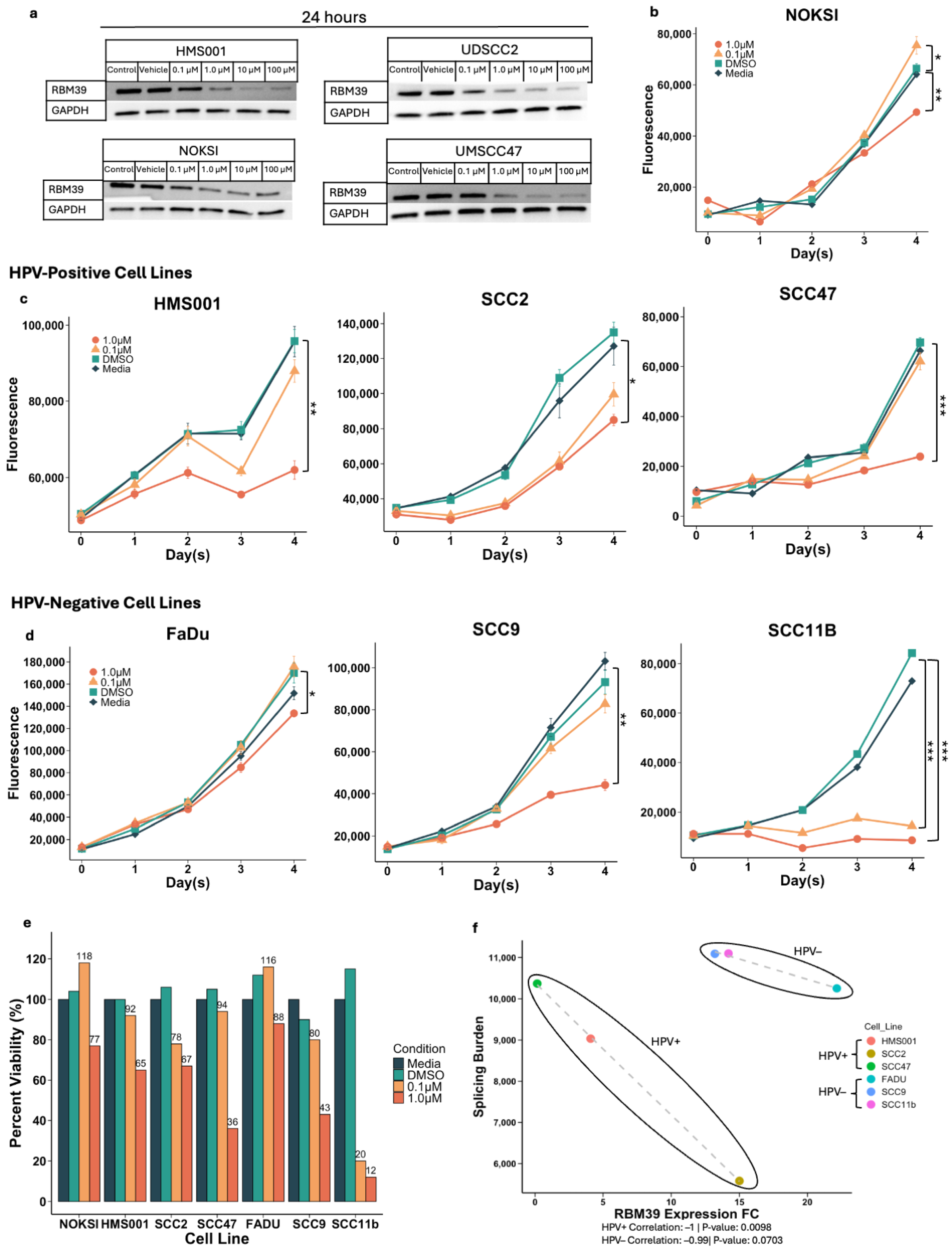 Cancers 17 01072 g002