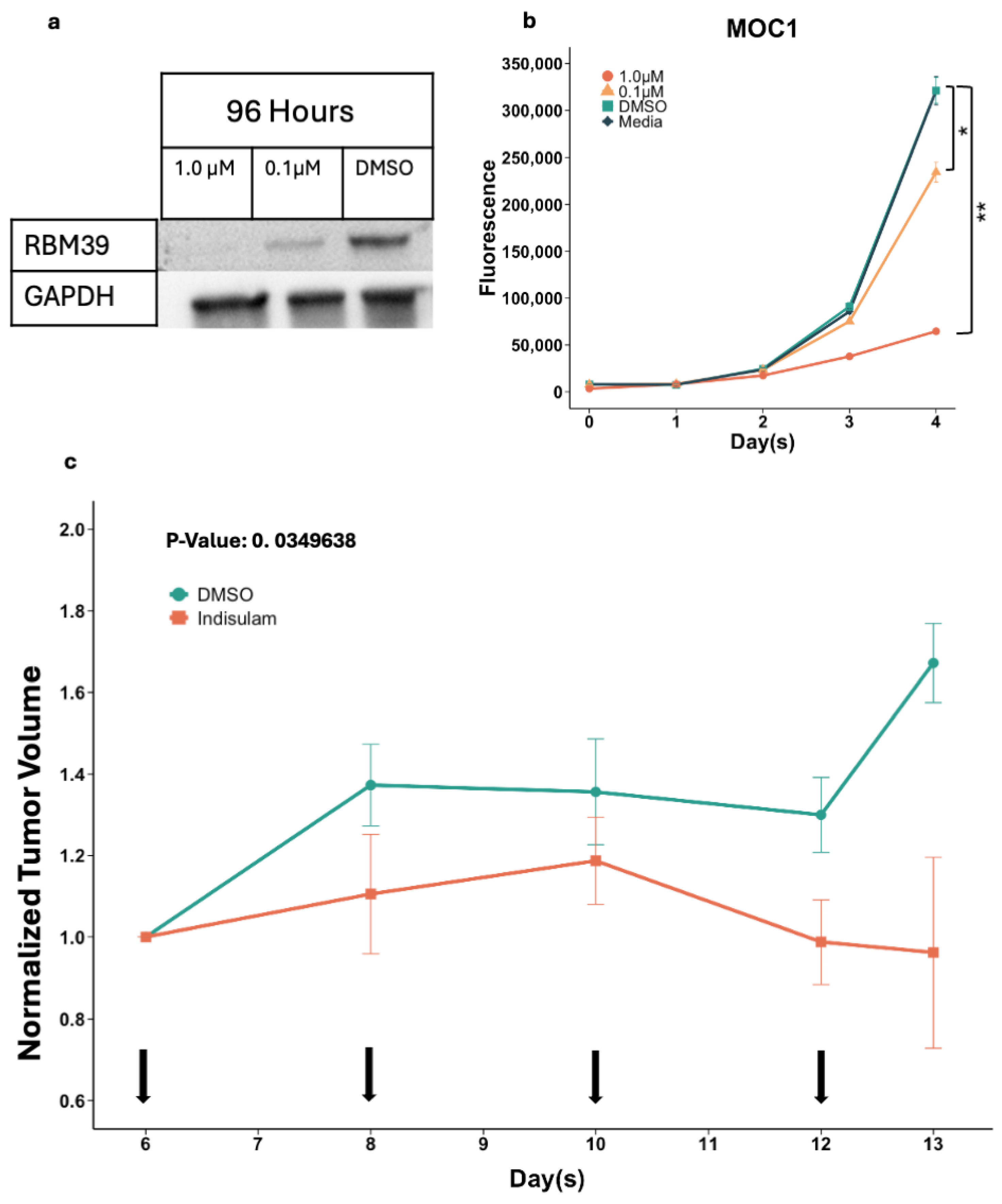 Cancers 17 01072 g003