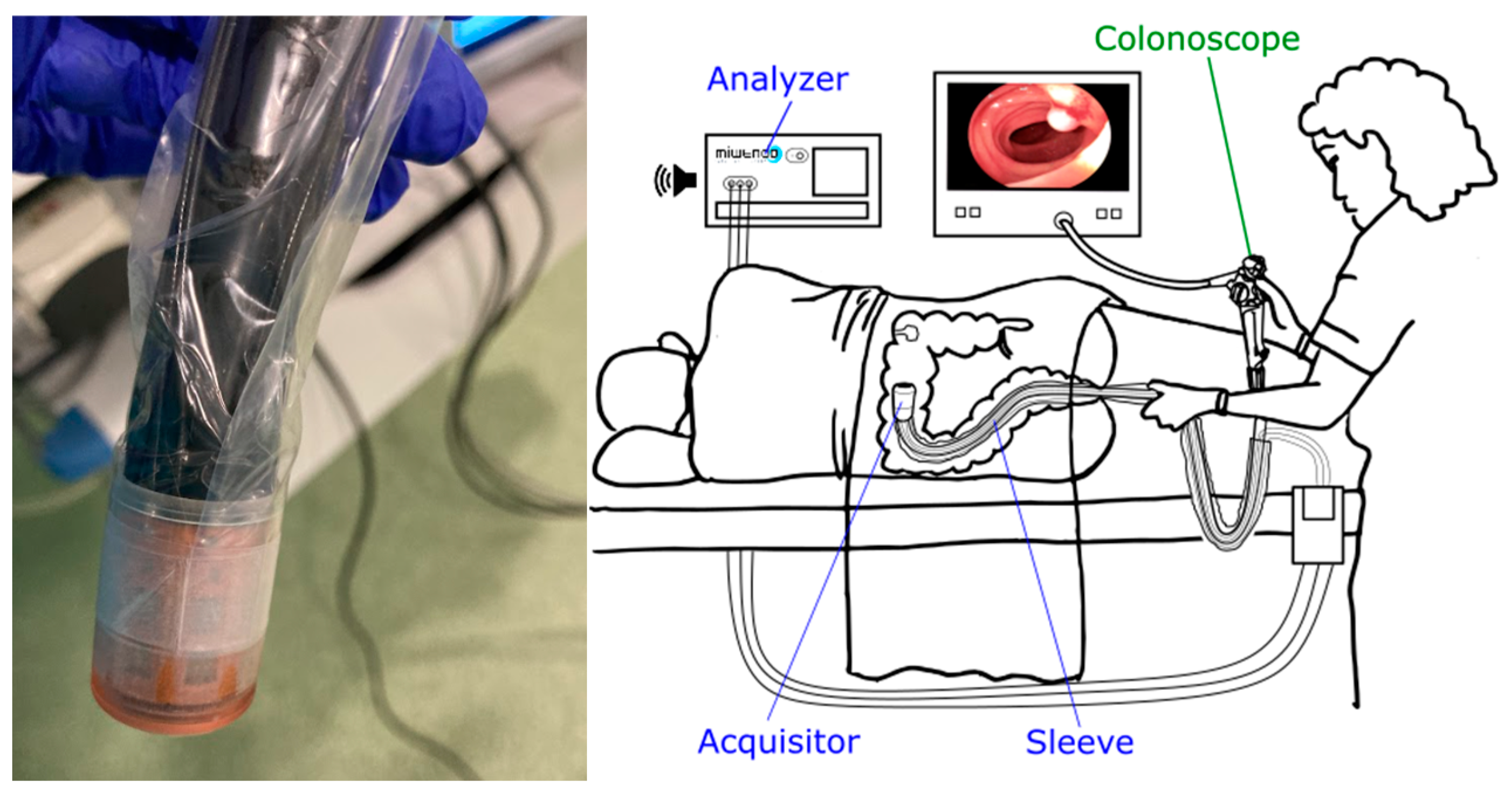 Cancers 17 01073 g001