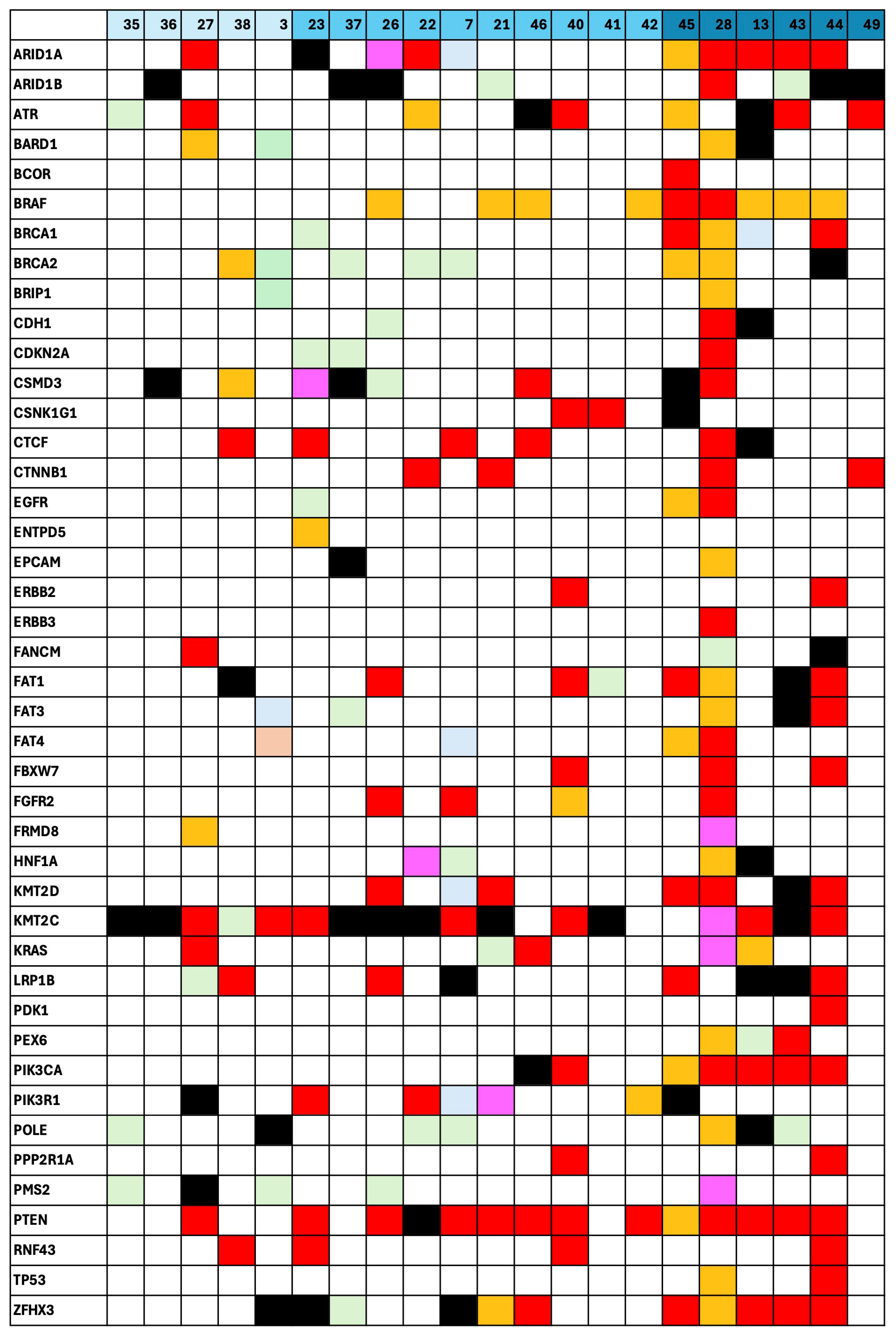 Cancers 17 01078 g003