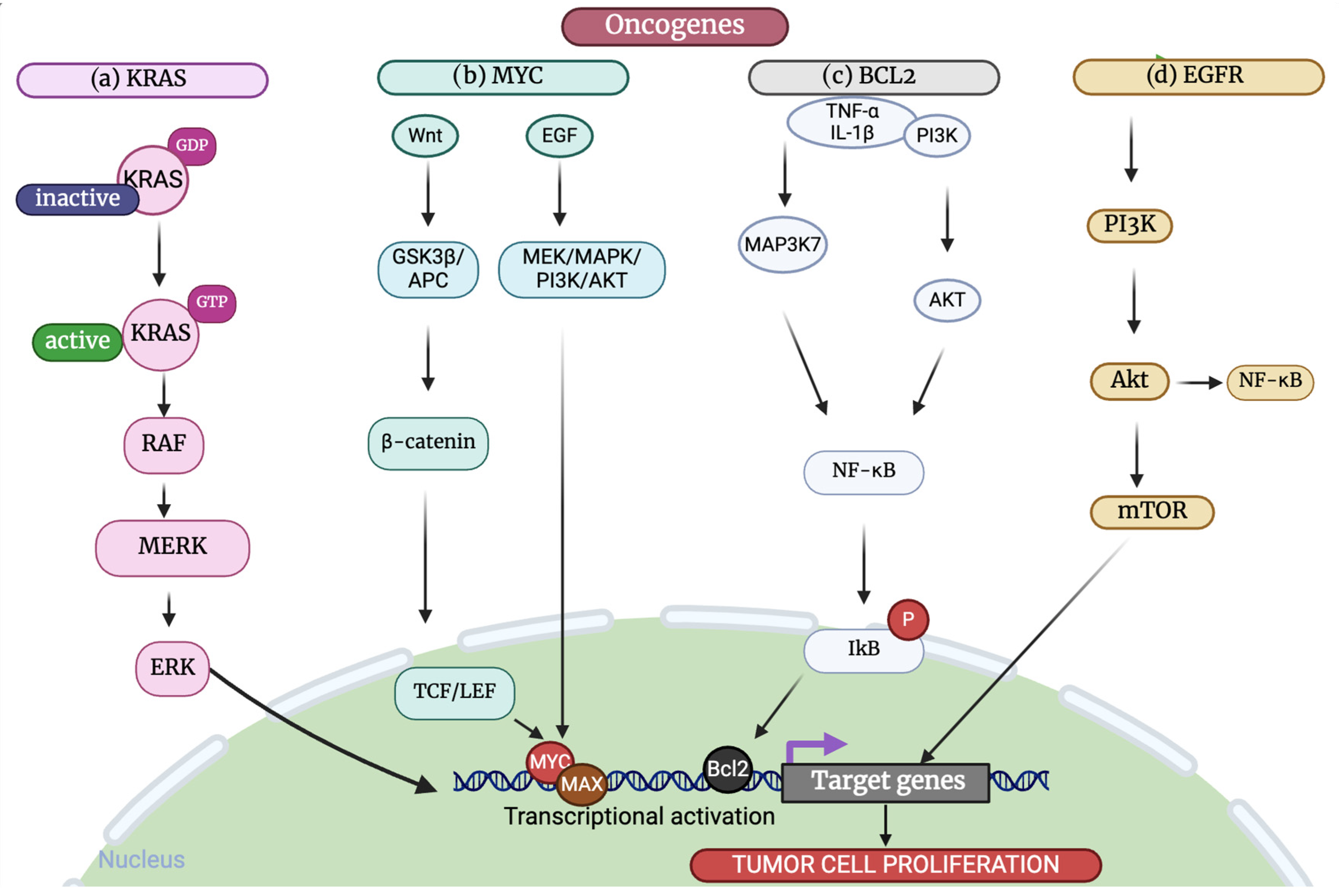 Cancers 17 01082 g002