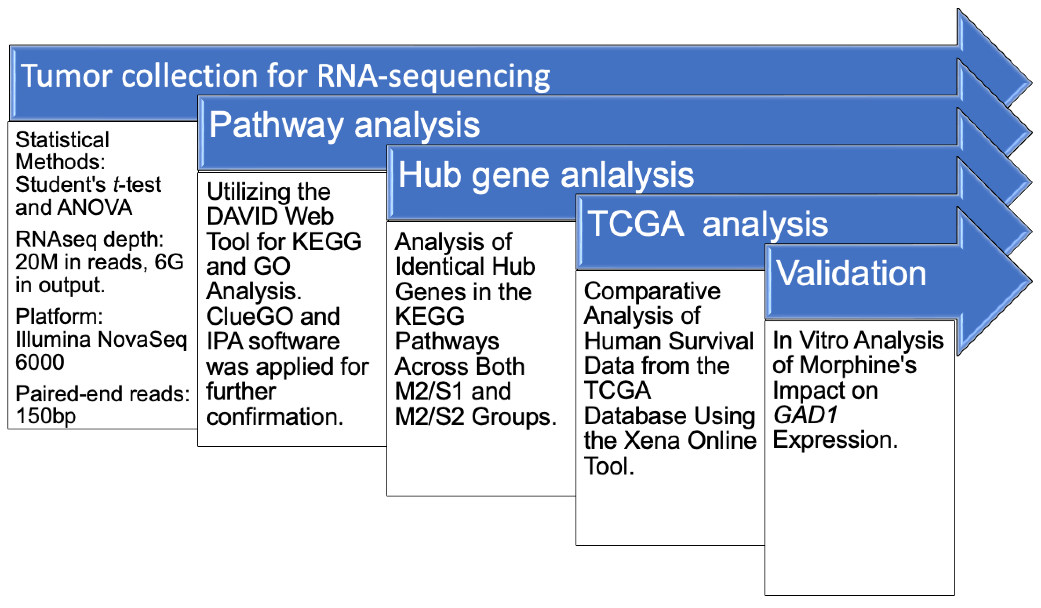 Cancers 17 01086 g002