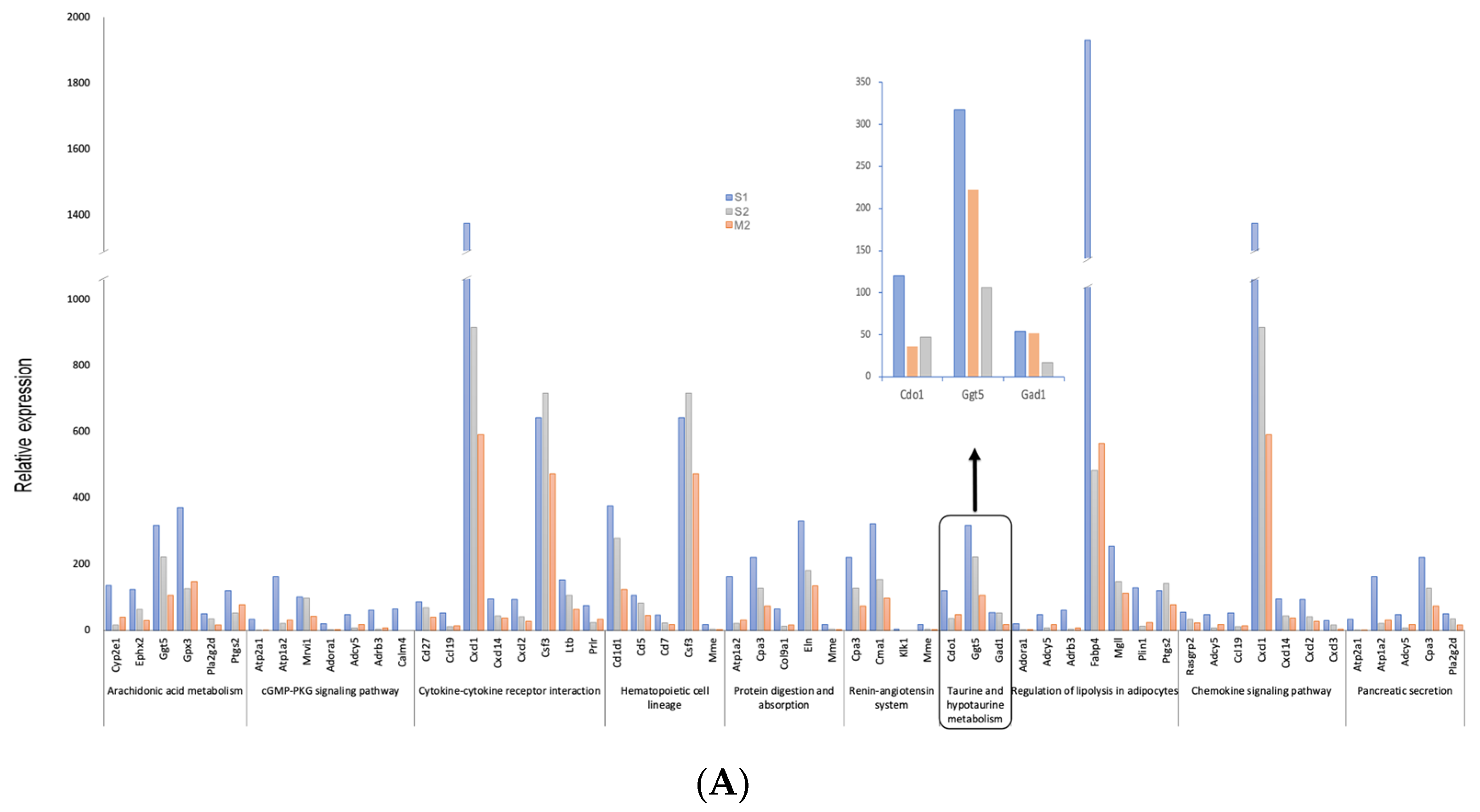 Cancers 17 01086 g004a