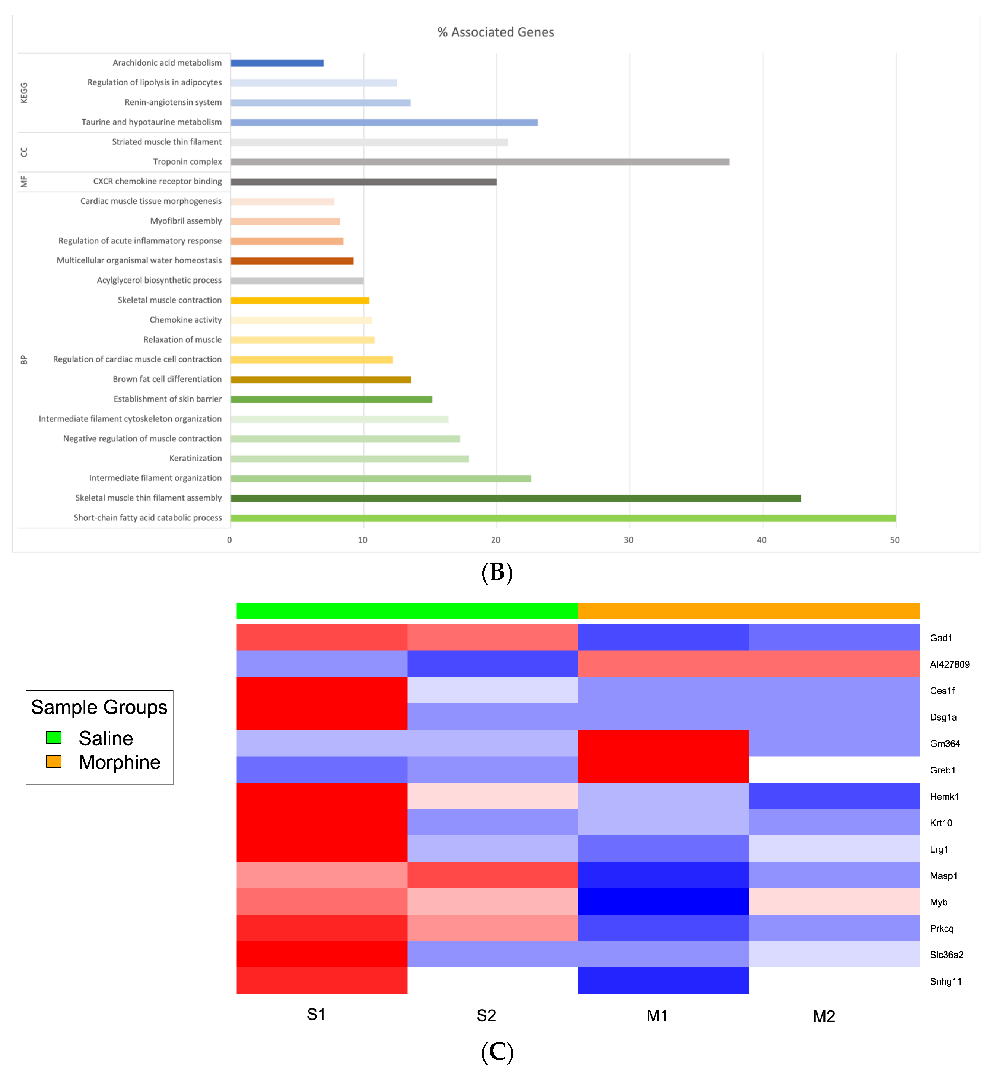 Cancers 17 01086 g004b