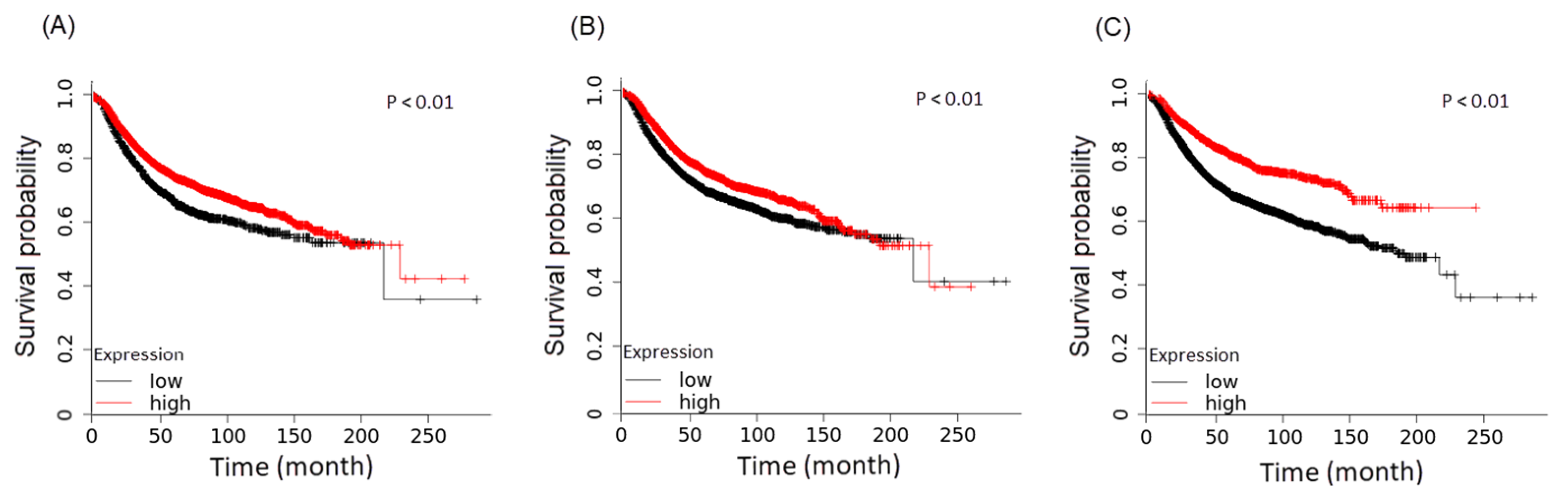 Cancers 17 01086 g006