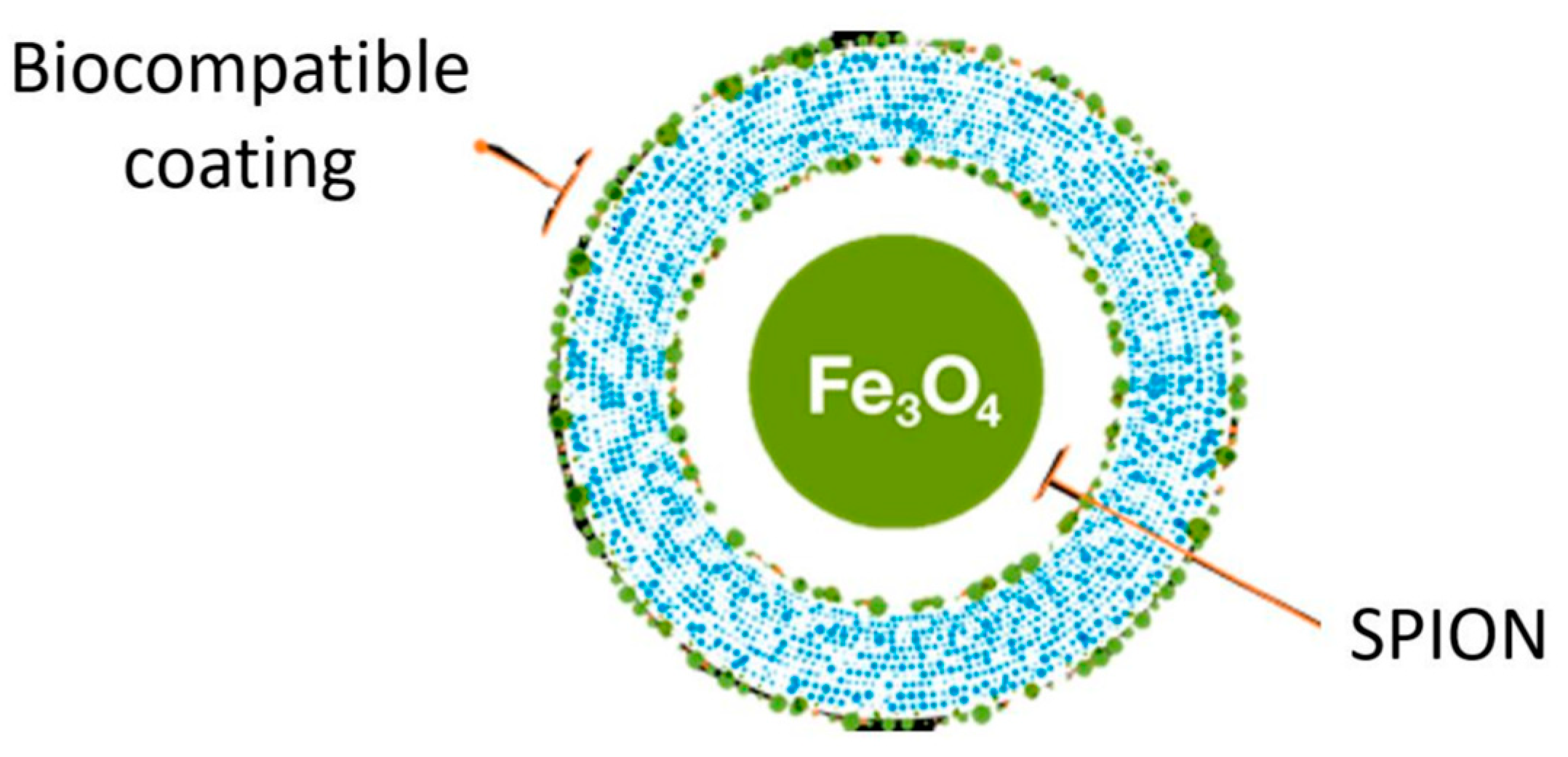 Cancers 17 01088 g001