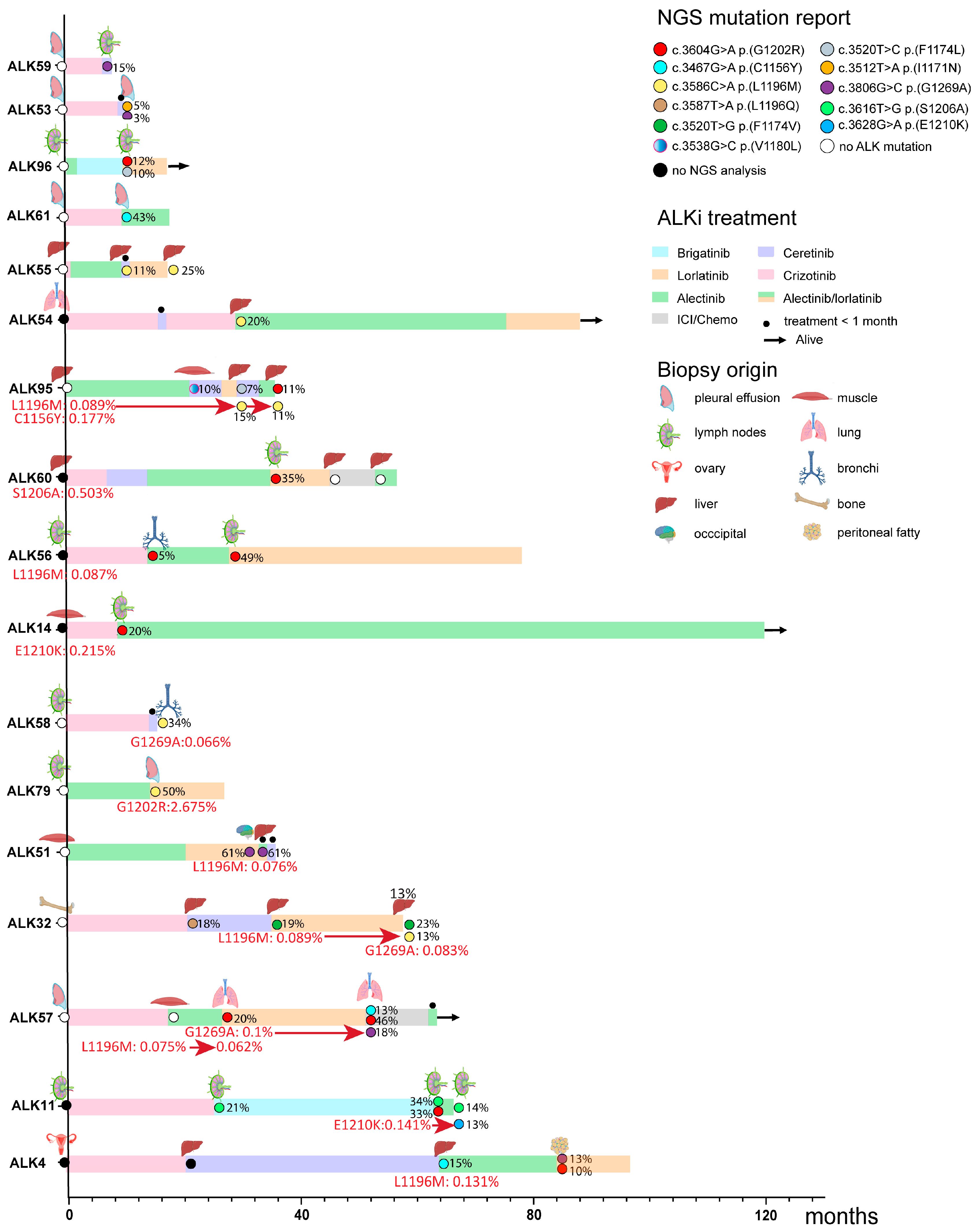 Cancers 17 01090 g001