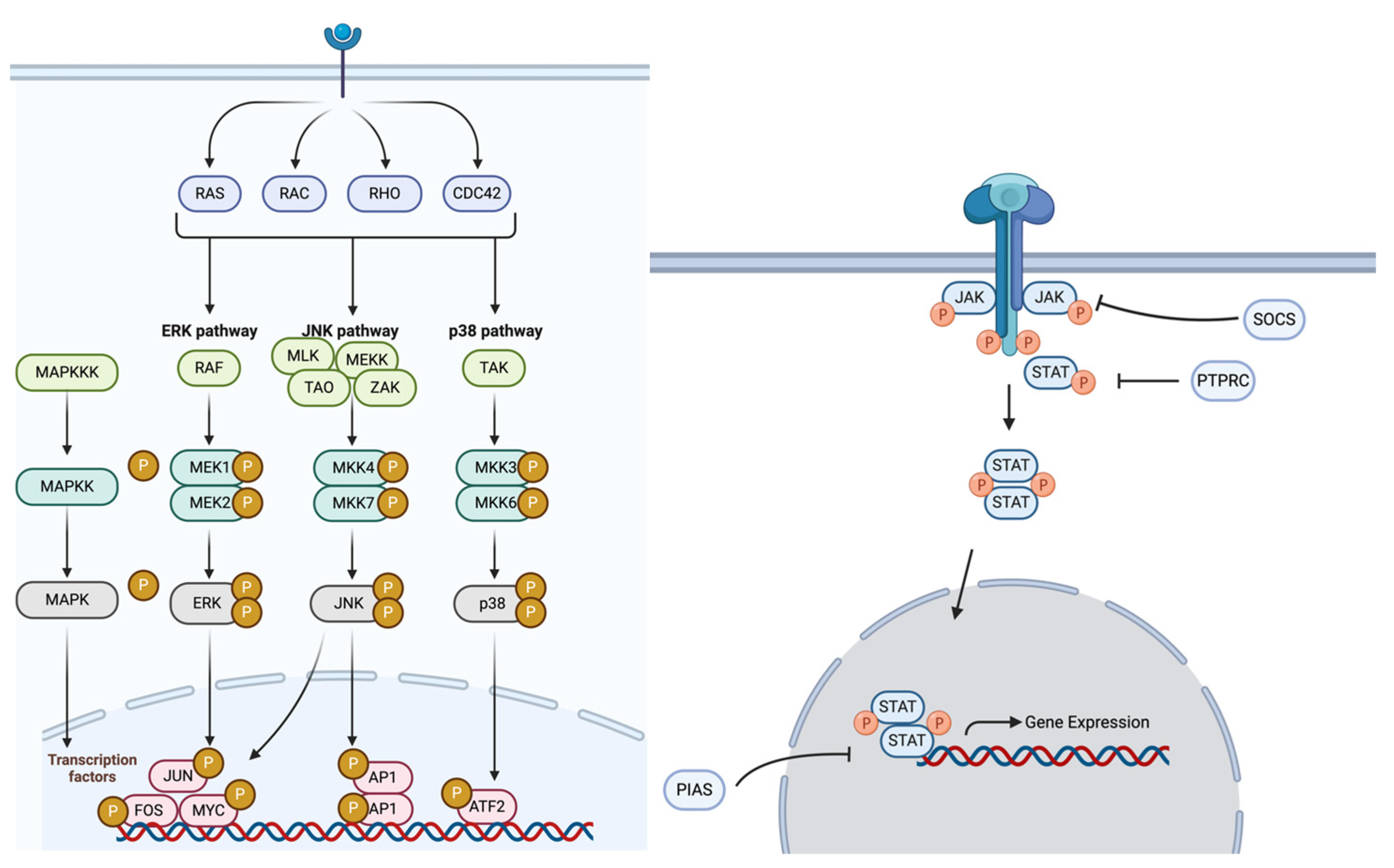 Cancers 17 01093 g001