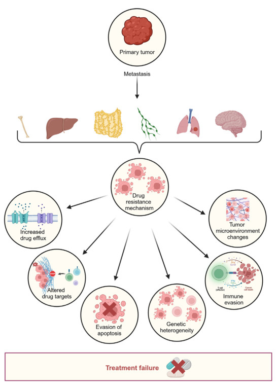 Addressing Challenges in Targeted Therapy for Metastatic Colorectal Cancer