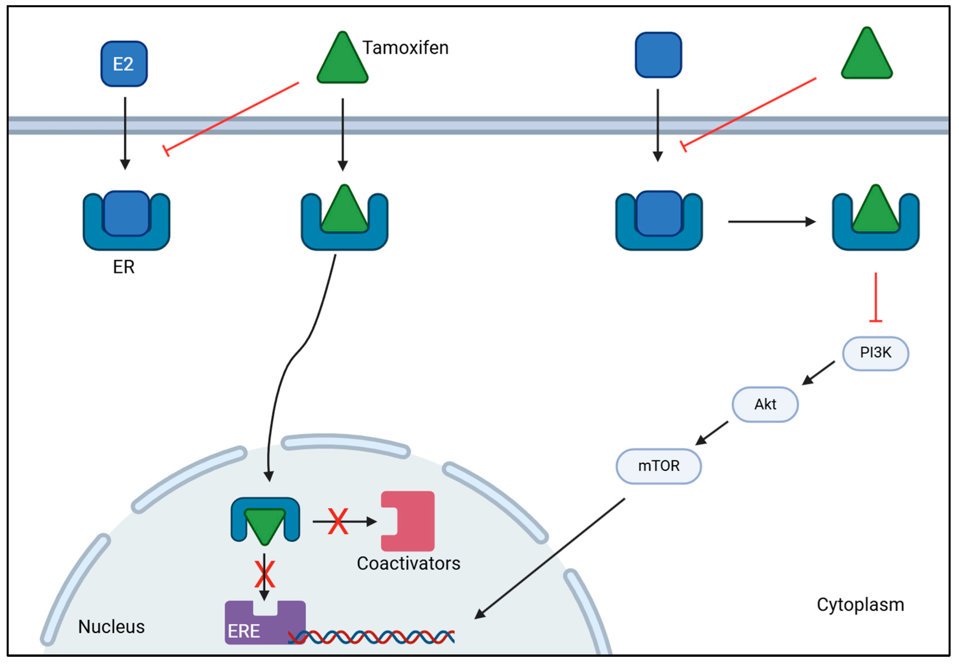 Cancers 17 01102 g002