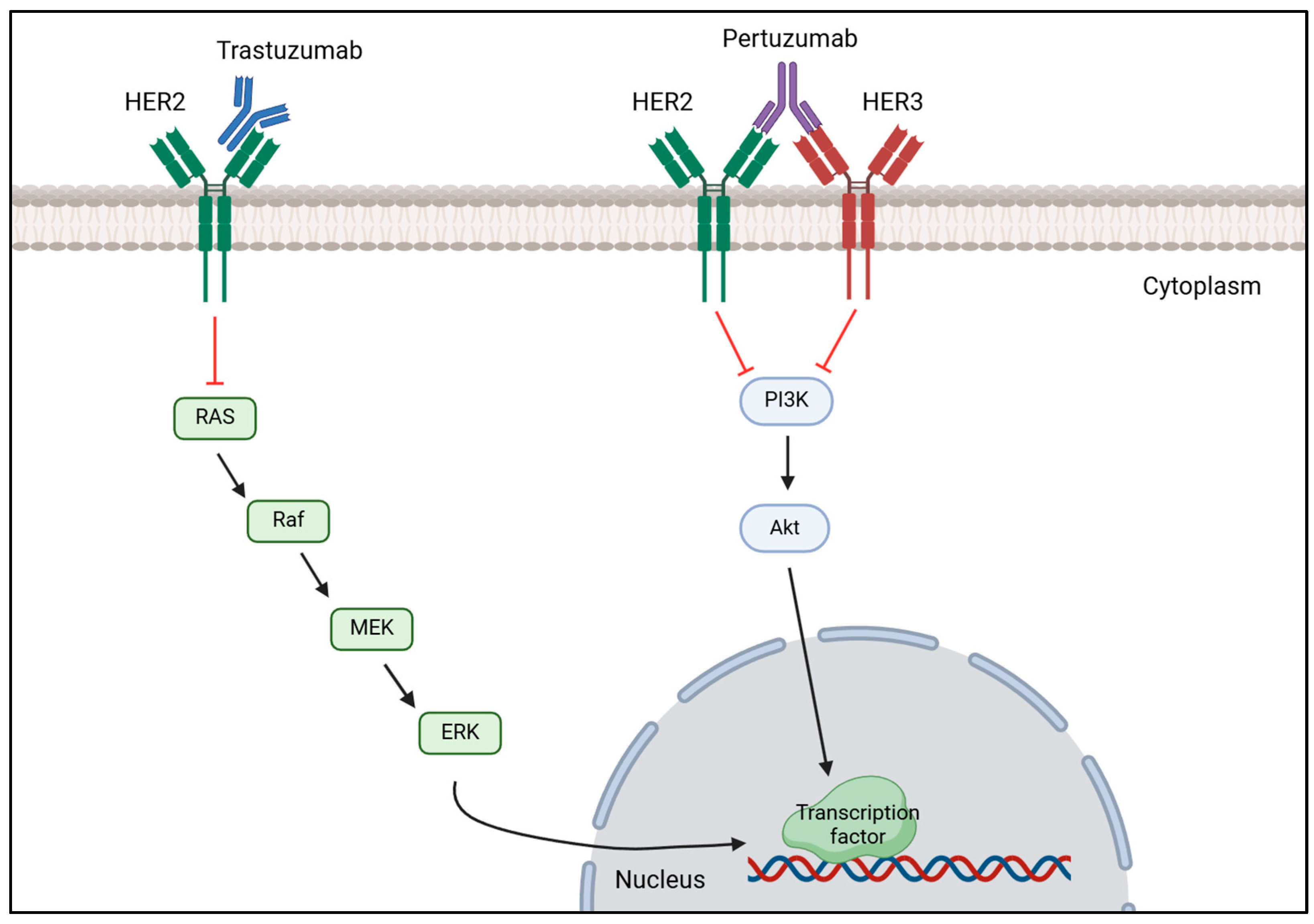 Cancers 17 01102 g003