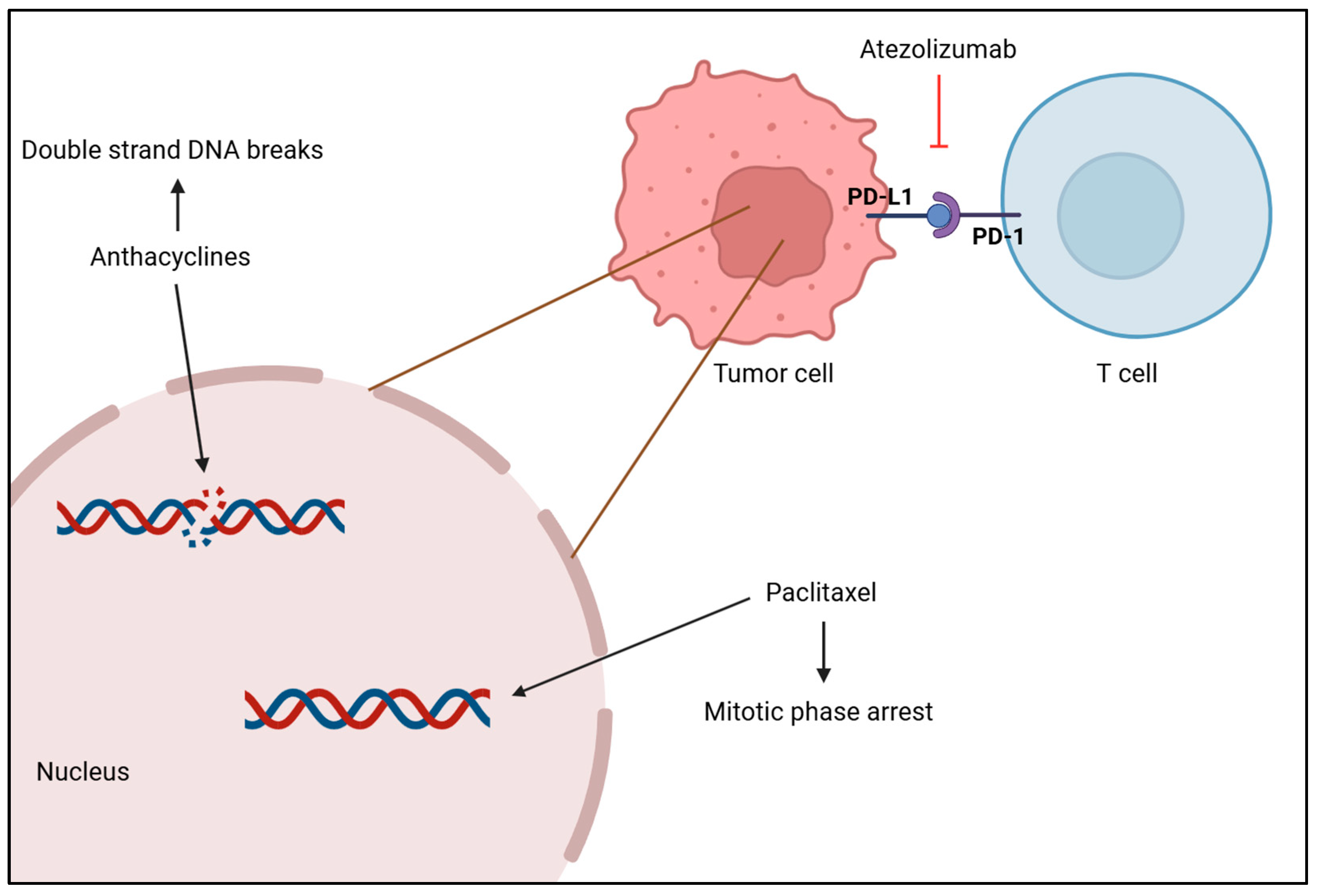 Cancers 17 01102 g004