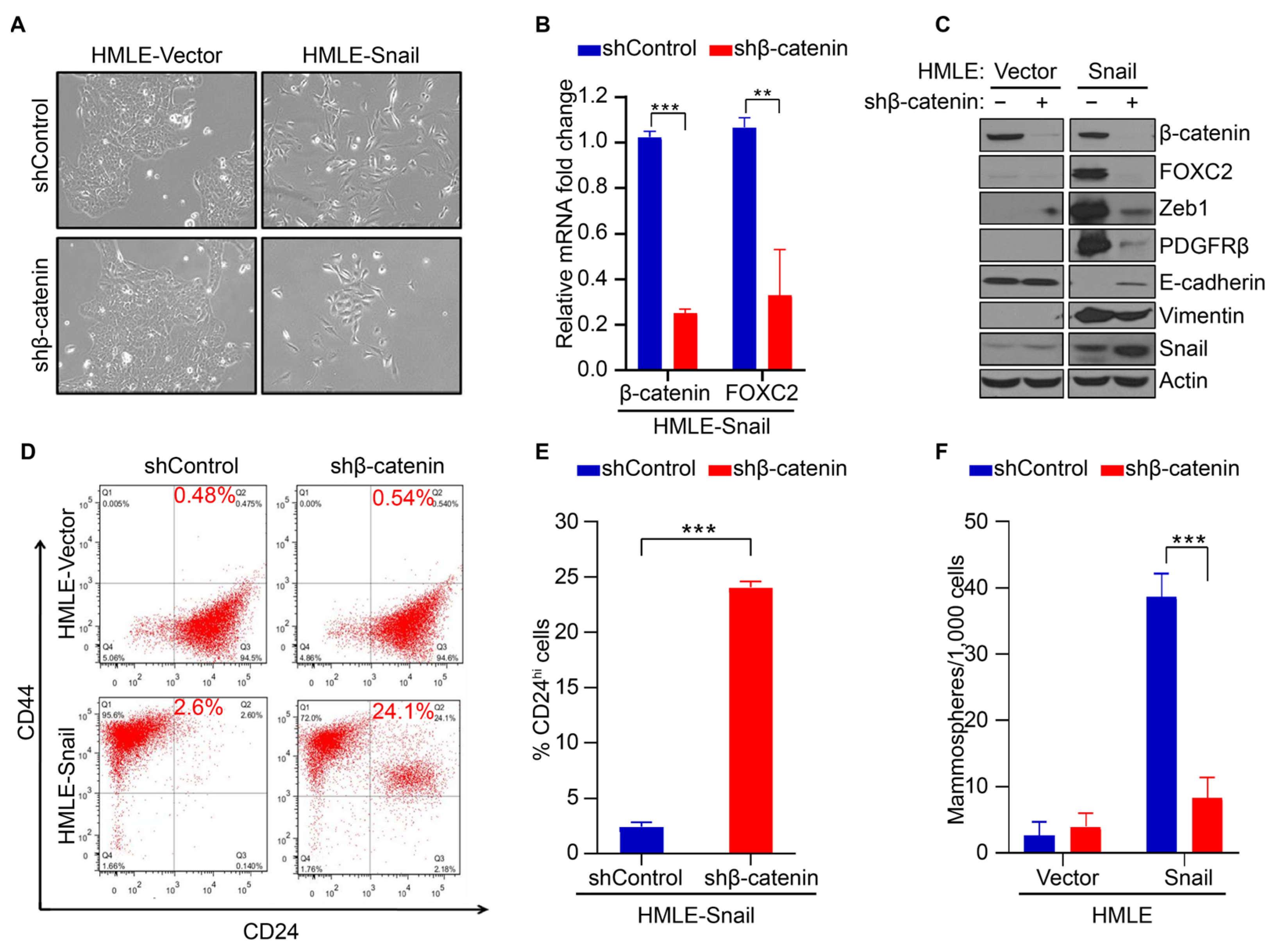 Cancers 17 01114 g002