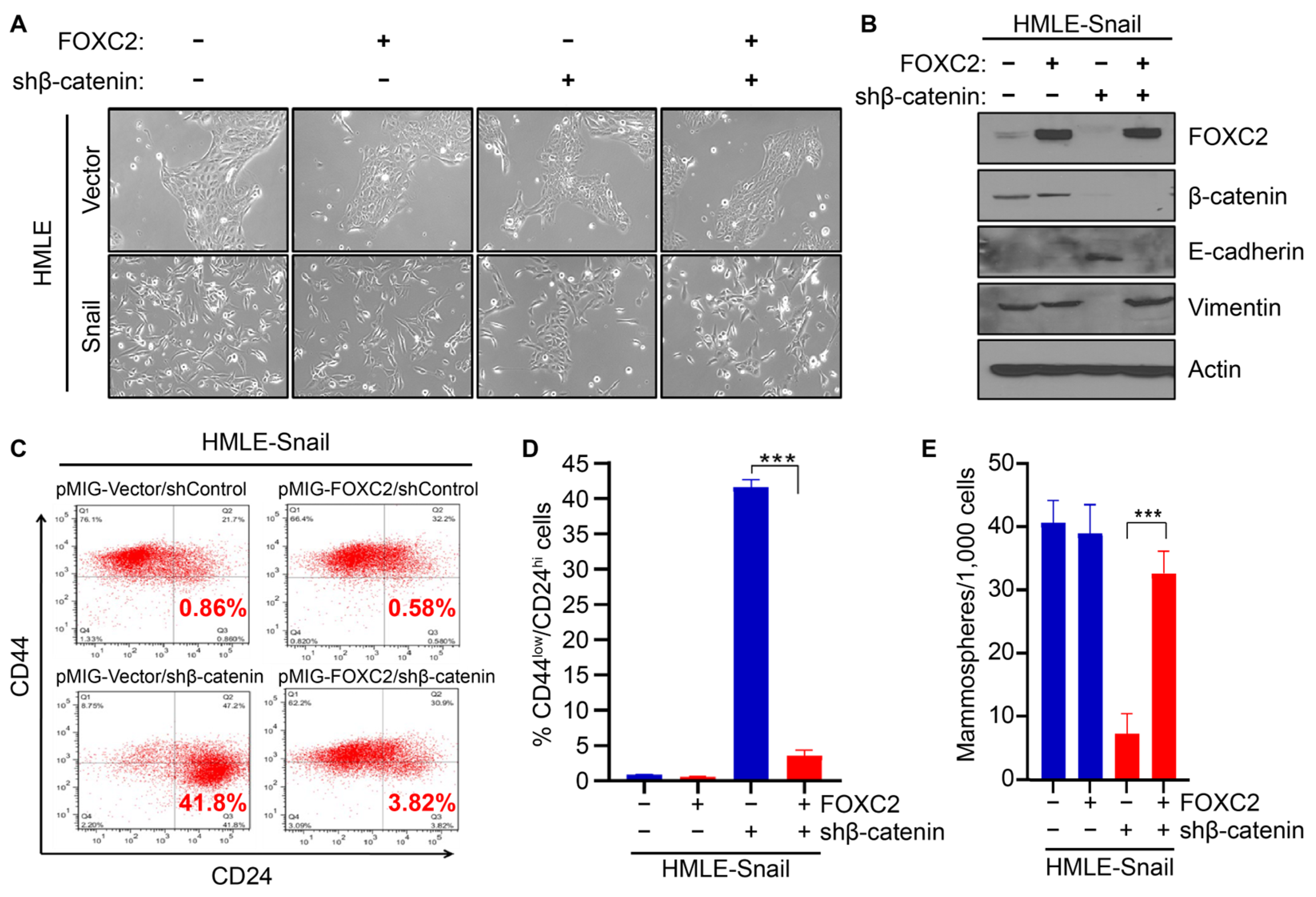 Cancers 17 01114 g003