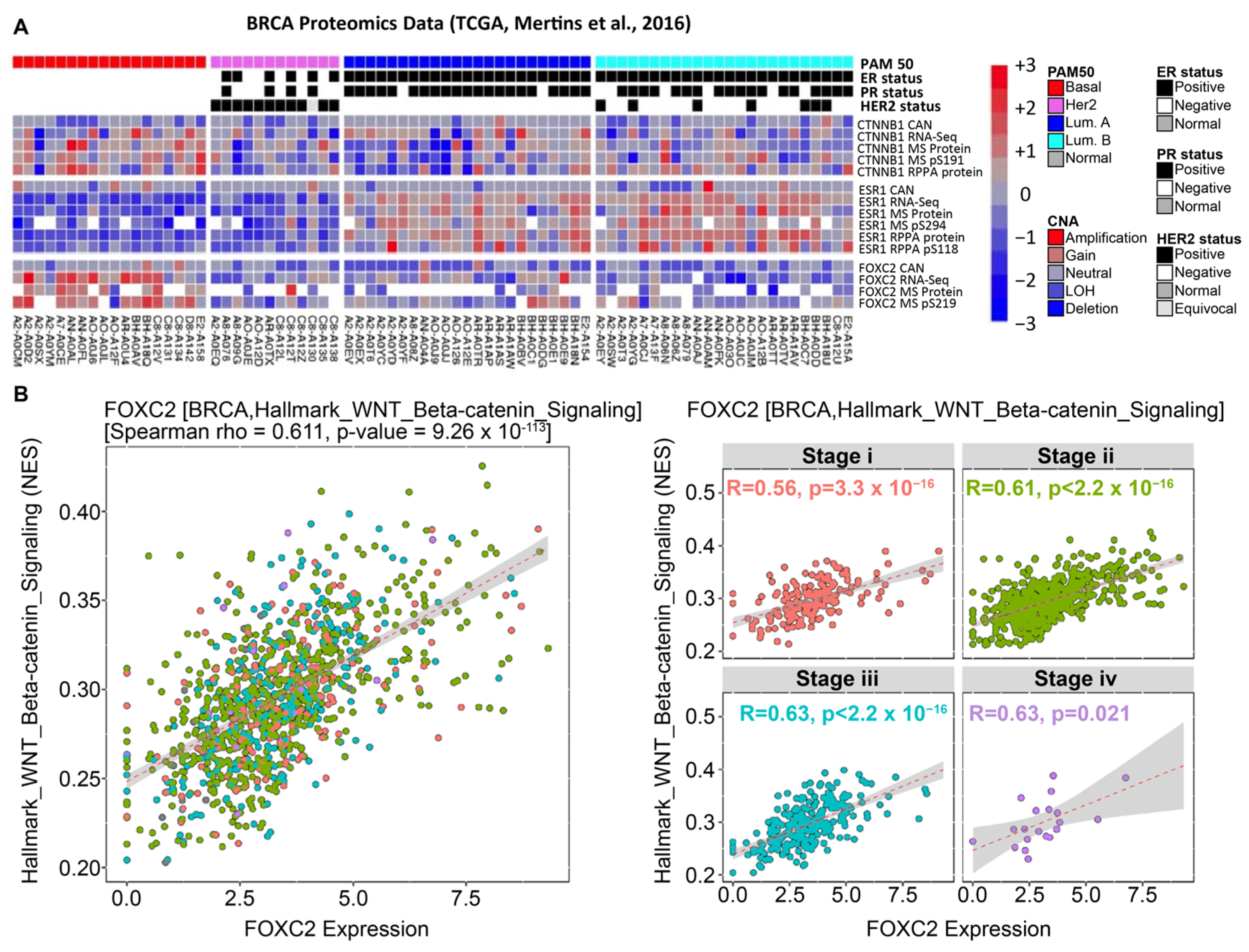 Cancers 17 01114 g004