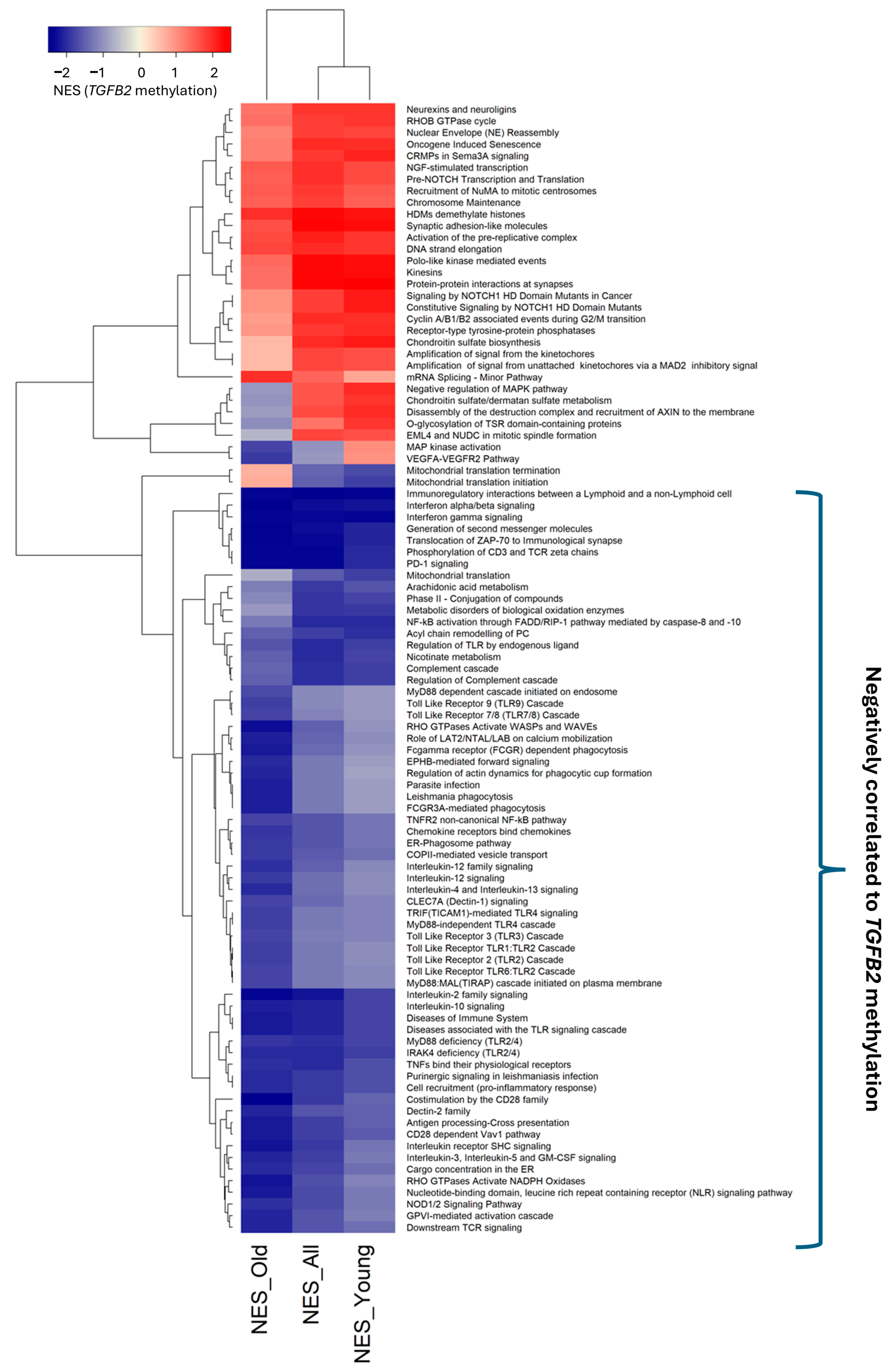 Cancers 17 01122 g003