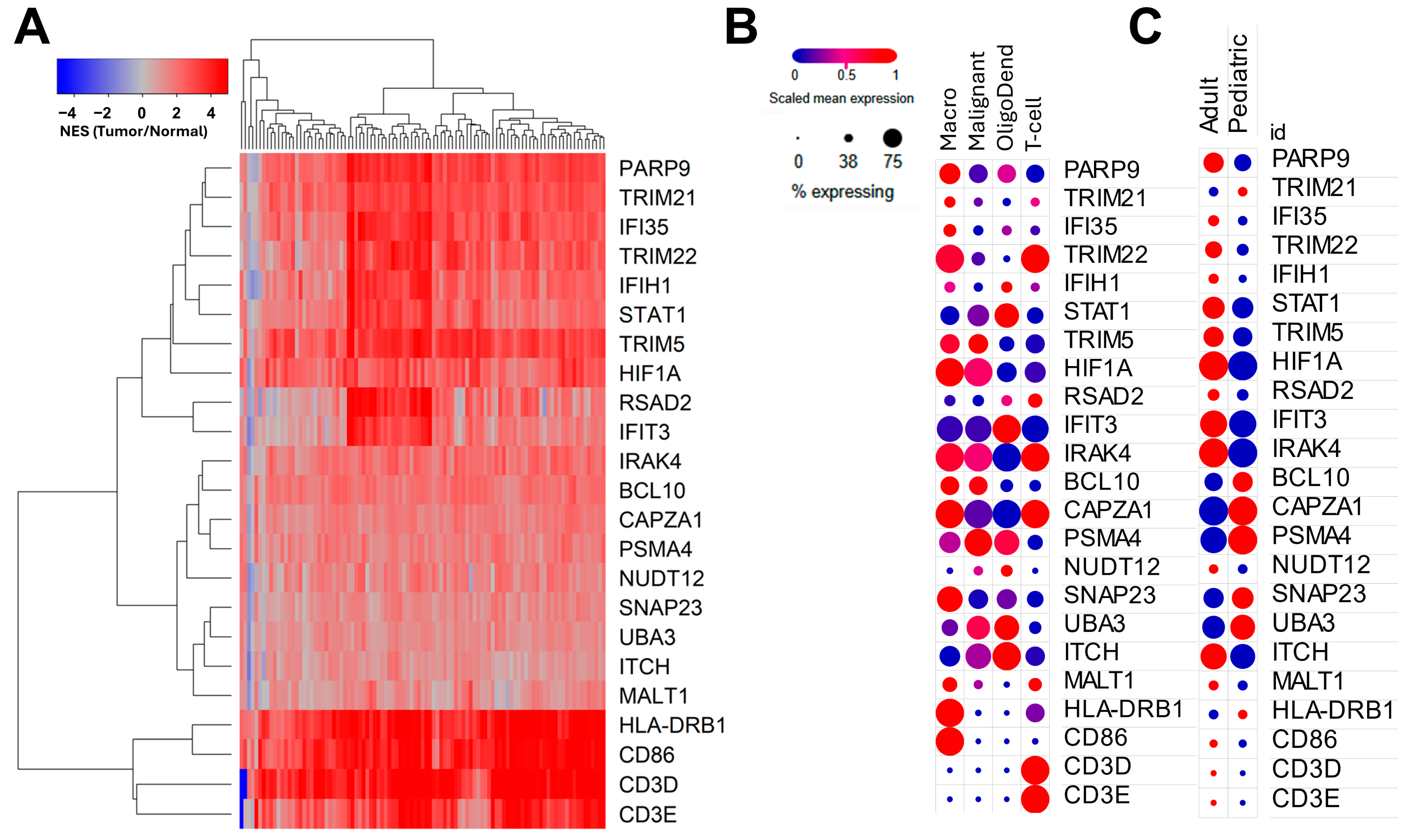 Cancers 17 01122 g004
