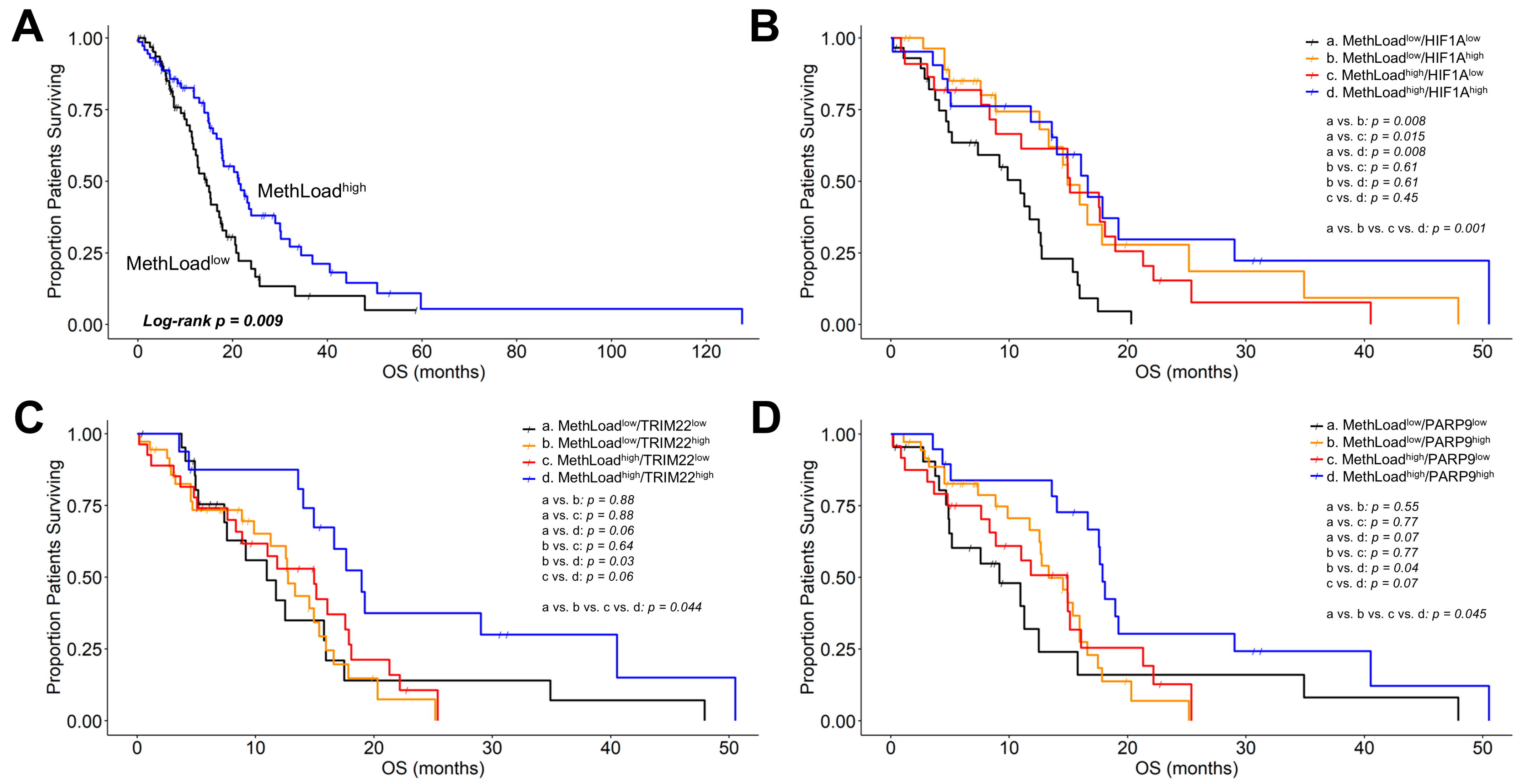 Cancers 17 01122 g005