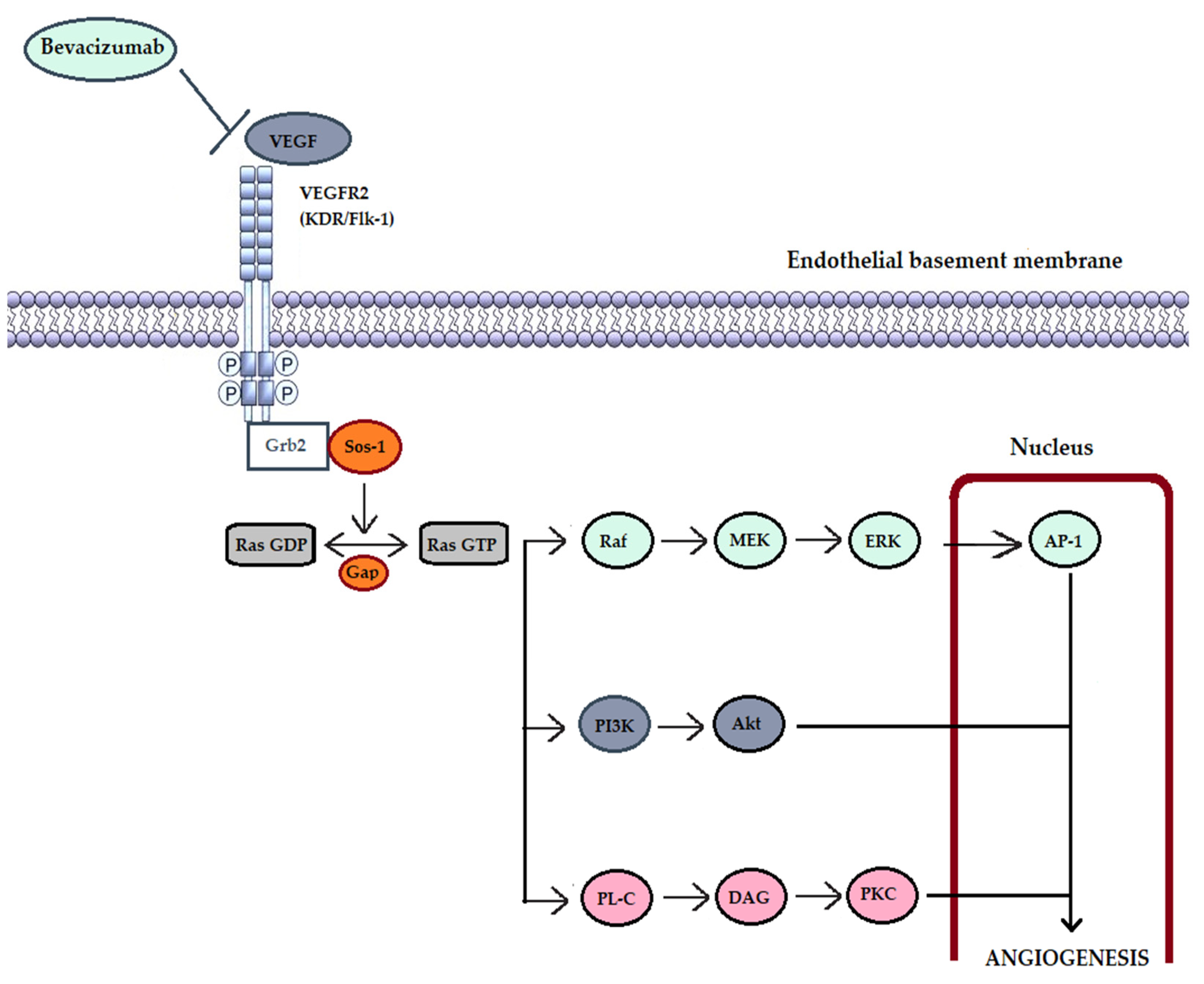 Cancers 17 01126 g002