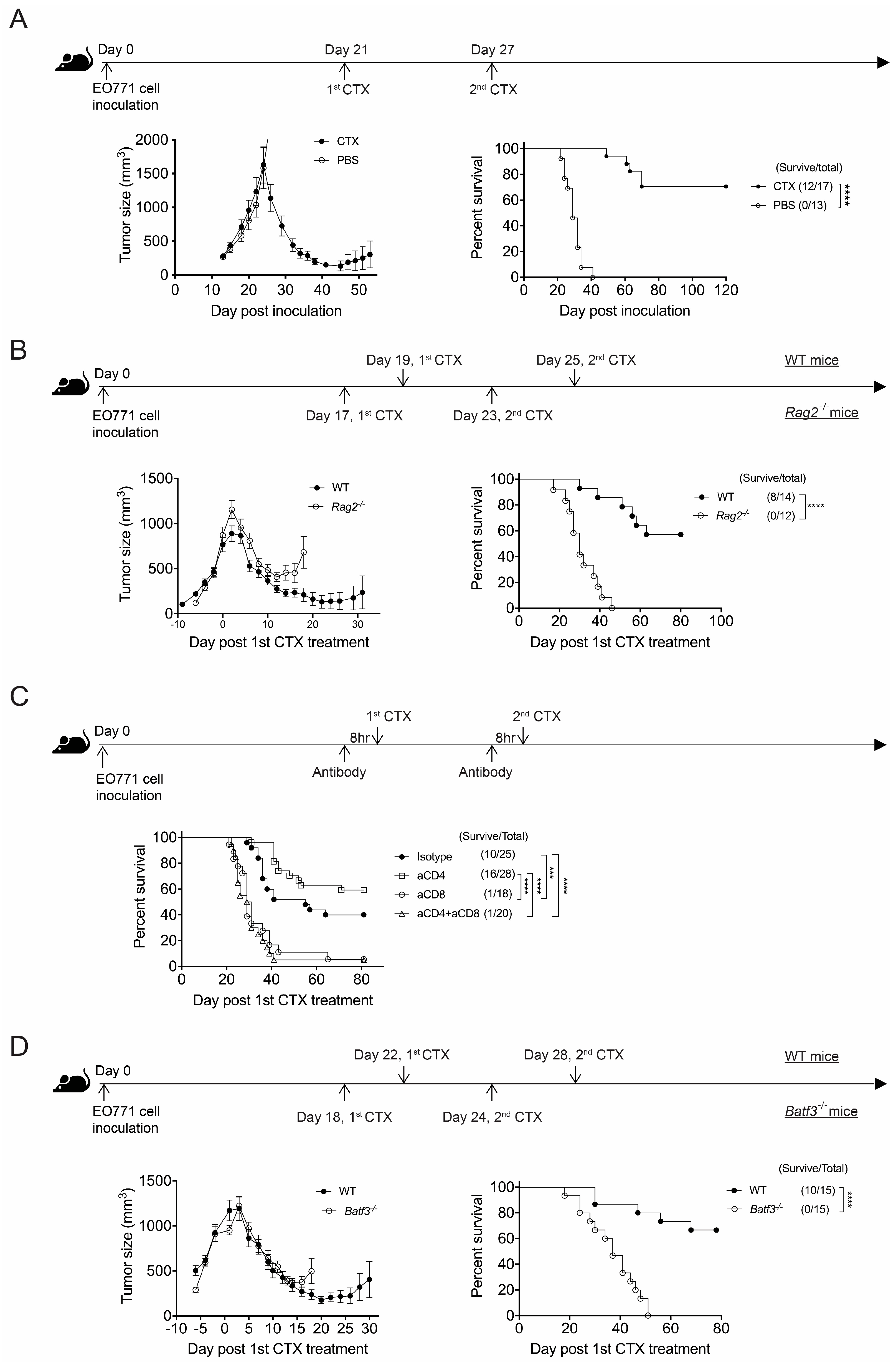 Cancers 17 01130 g001 Cancers 17 01130 g001