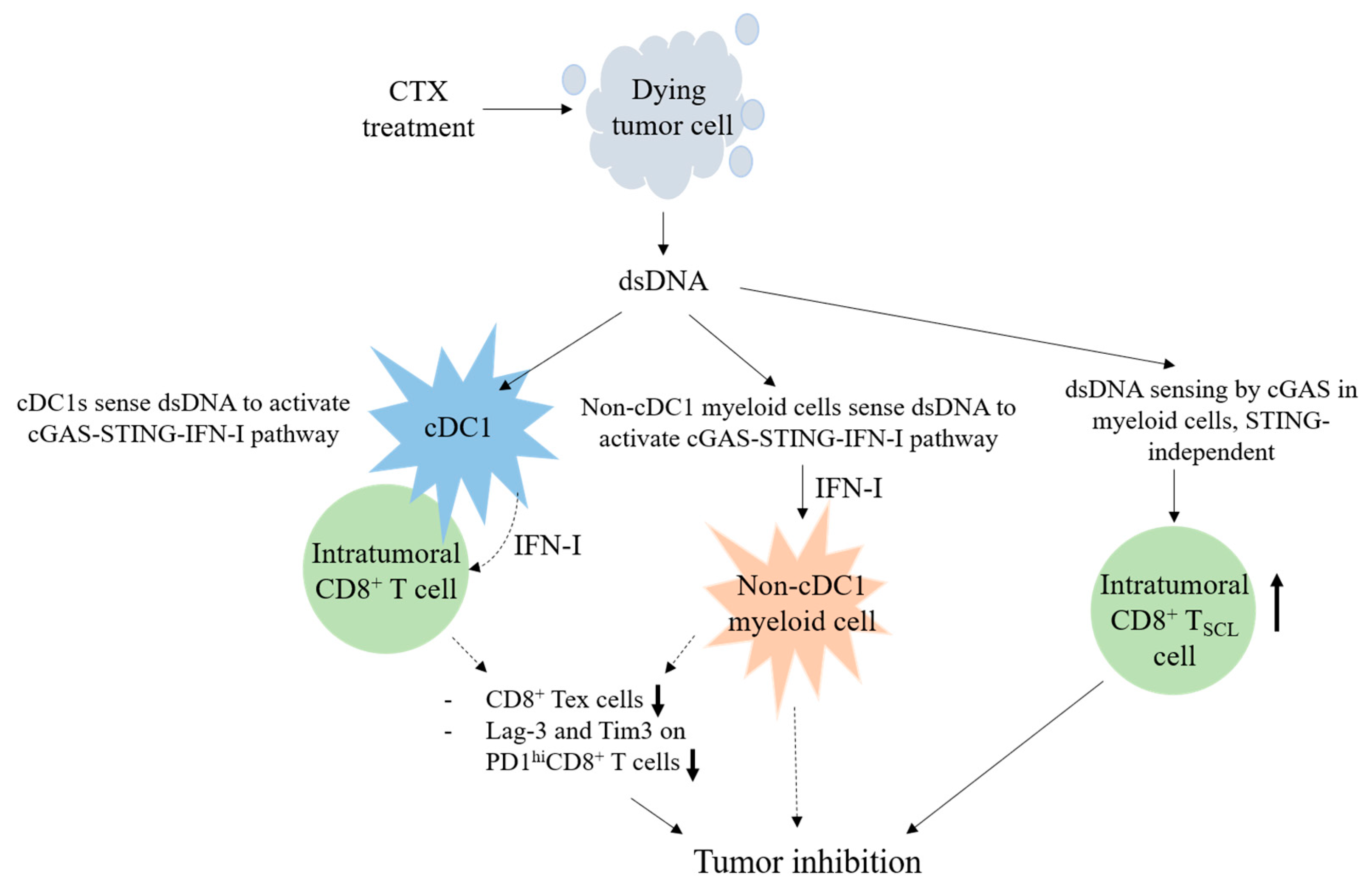 Cancers 17 01130 g005 Cancers 17 01130 g005