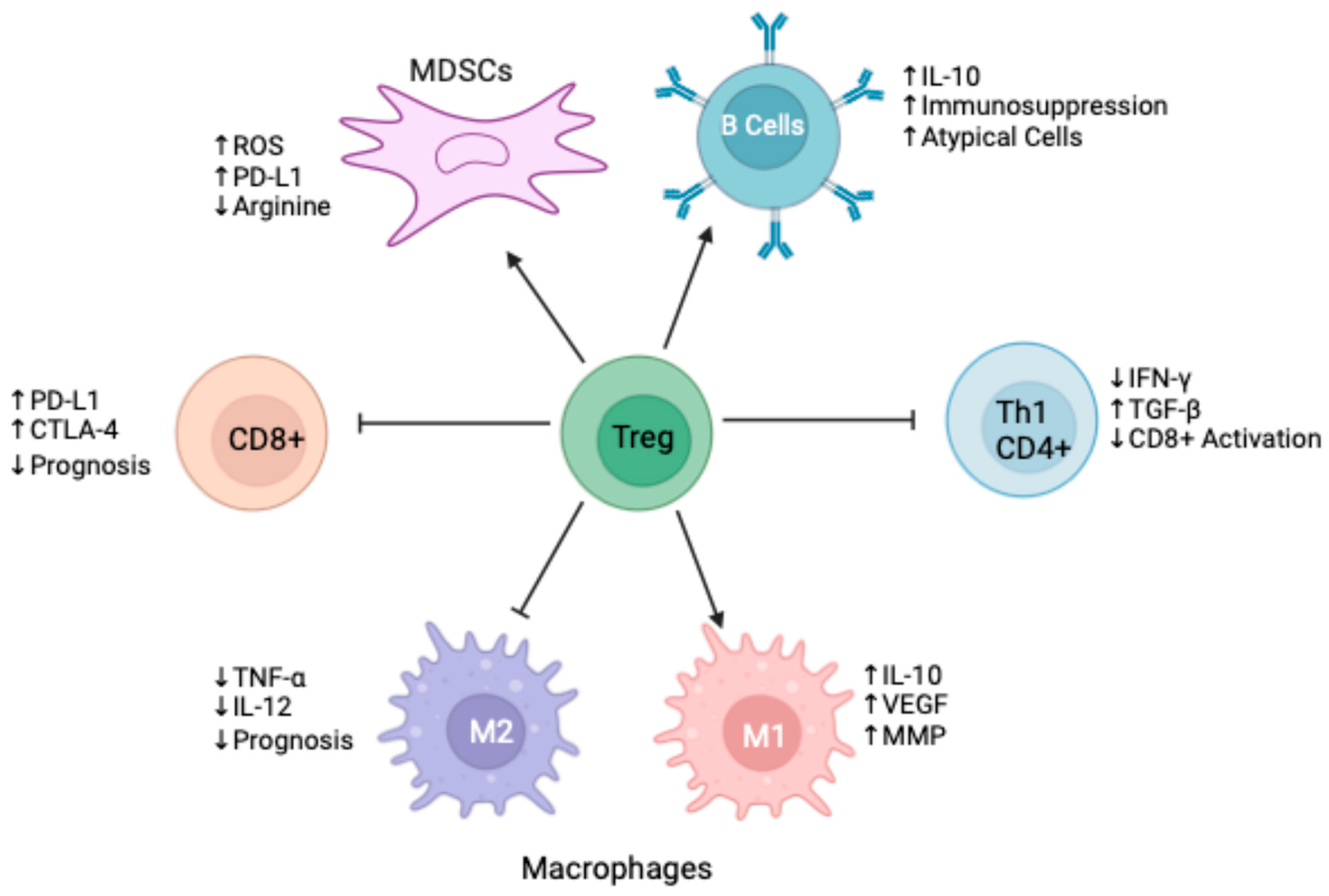 Cancers 17 01135 g002 Cancers 17 01135 g002