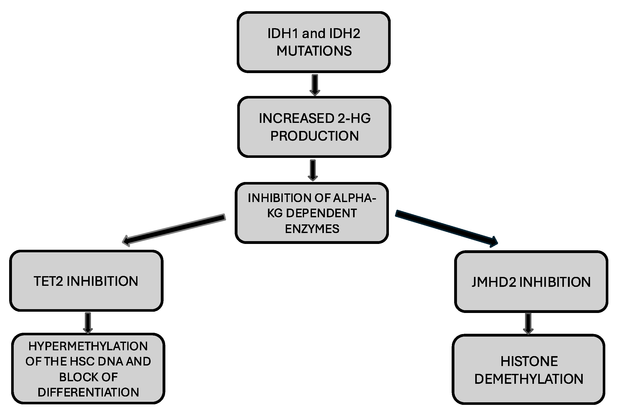 Cancers 17 01141 g001