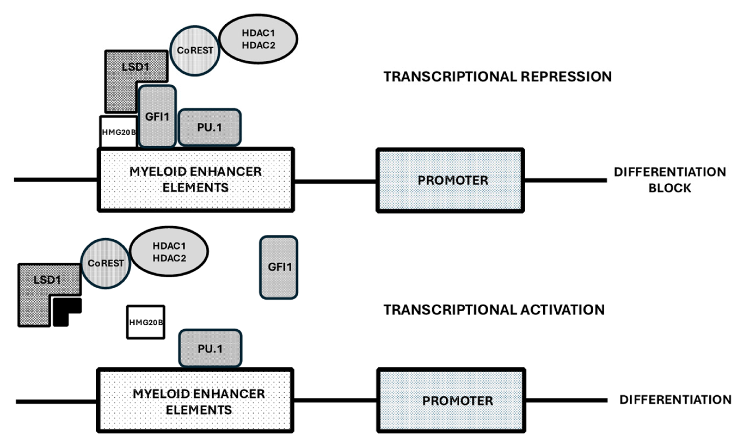 Cancers 17 01141 g002