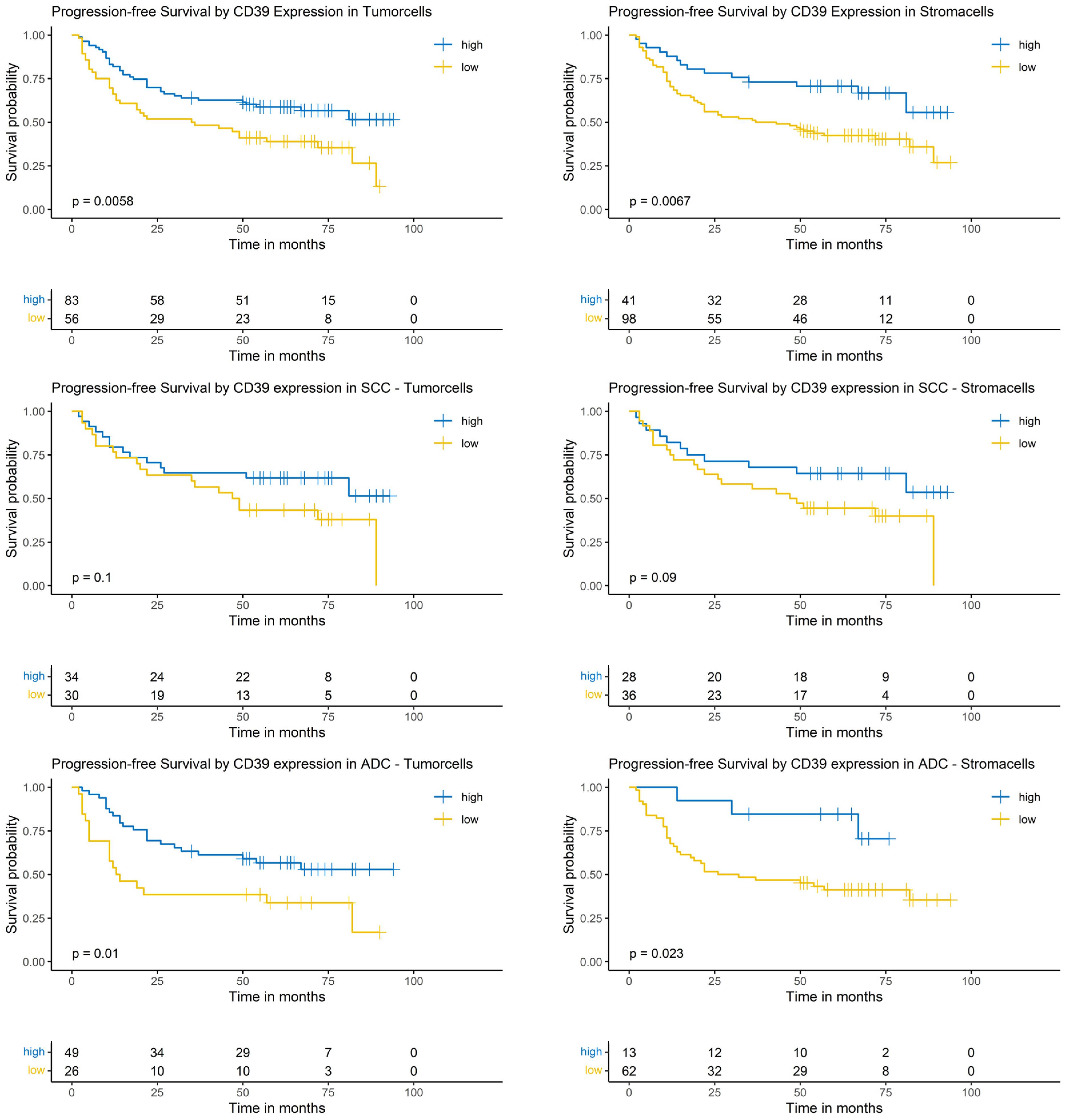 Cancers 17 01142 g005