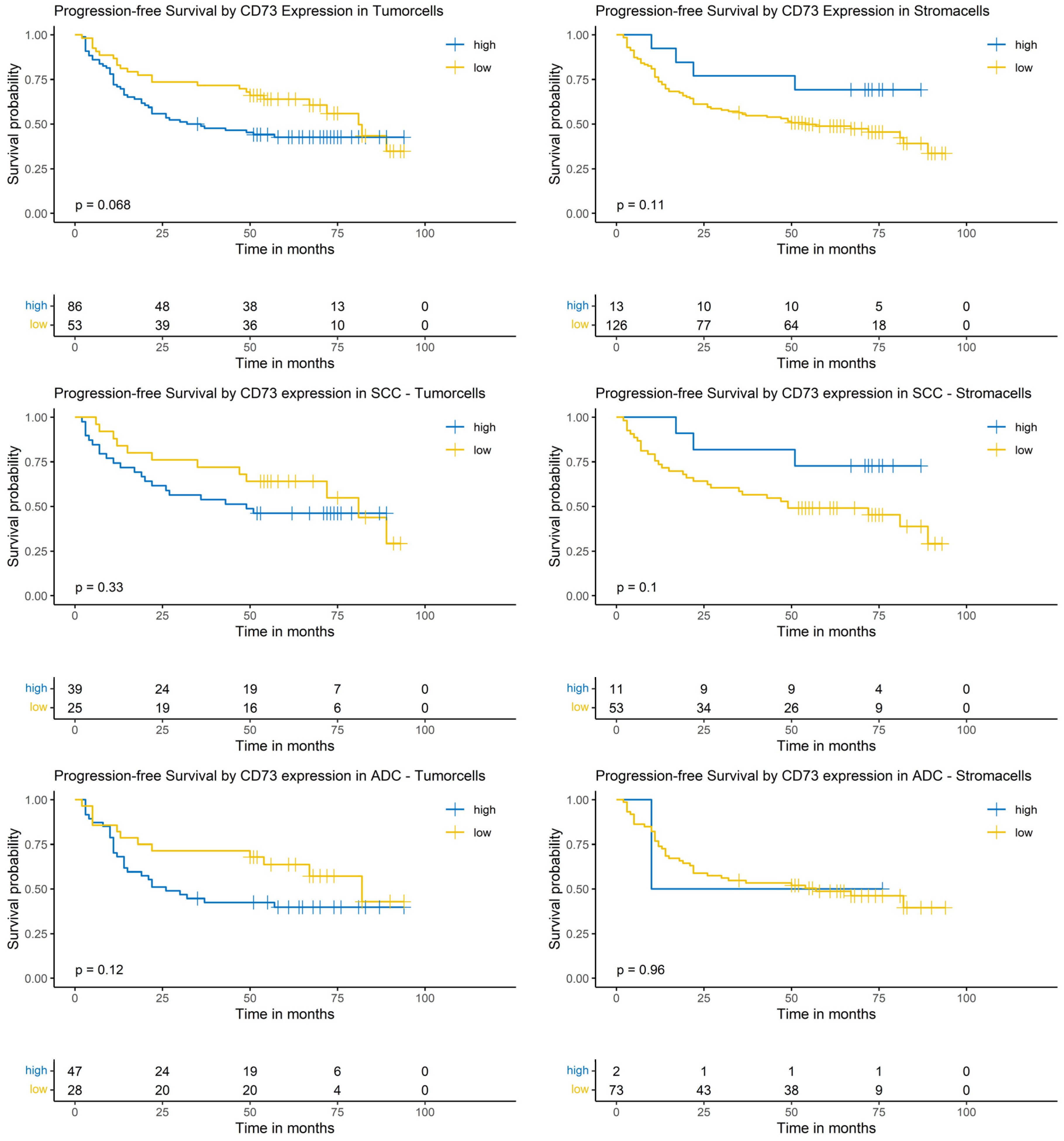 Cancers 17 01142 g006