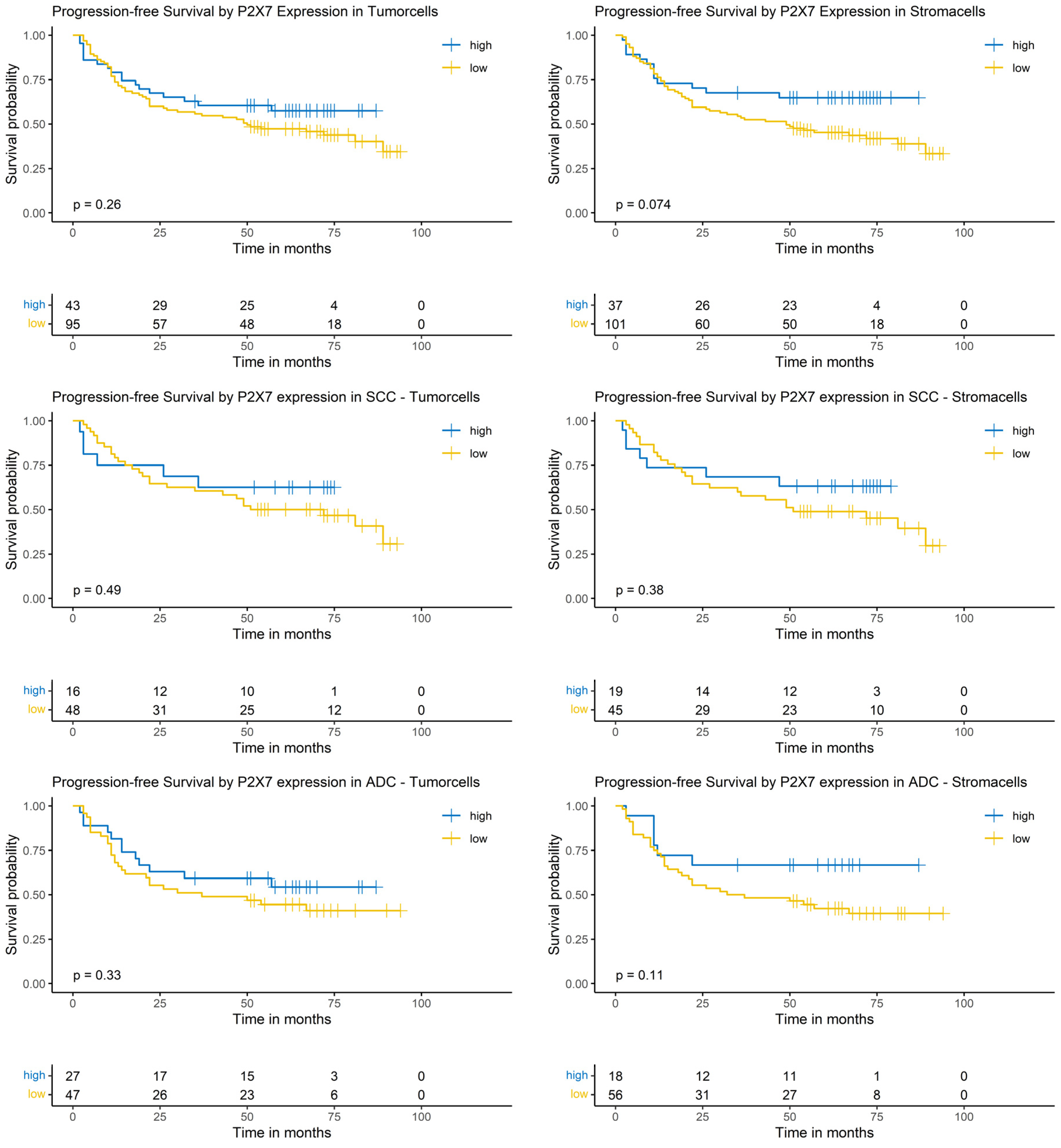 Cancers 17 01142 g007