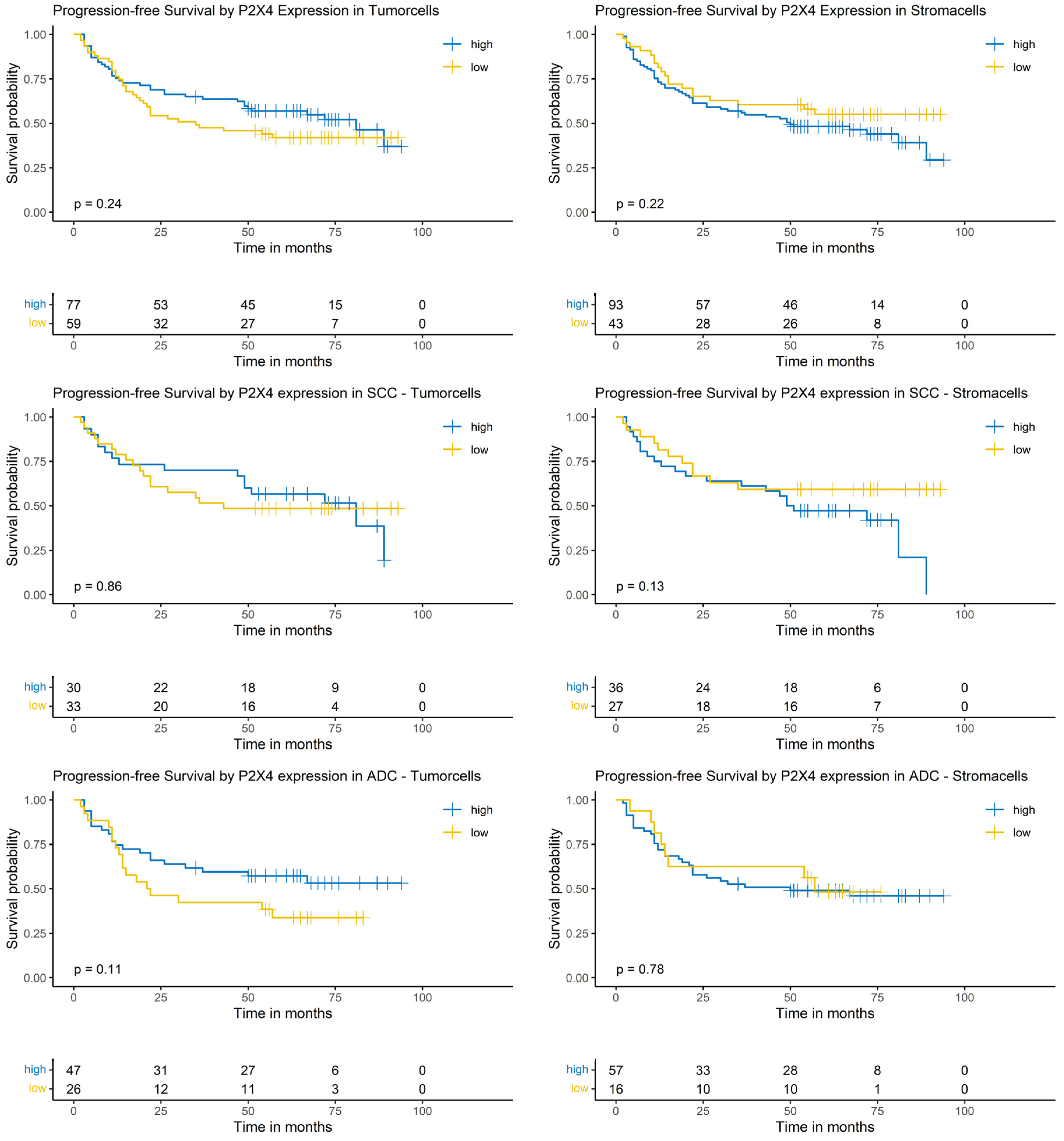 Cancers 17 01142 g008