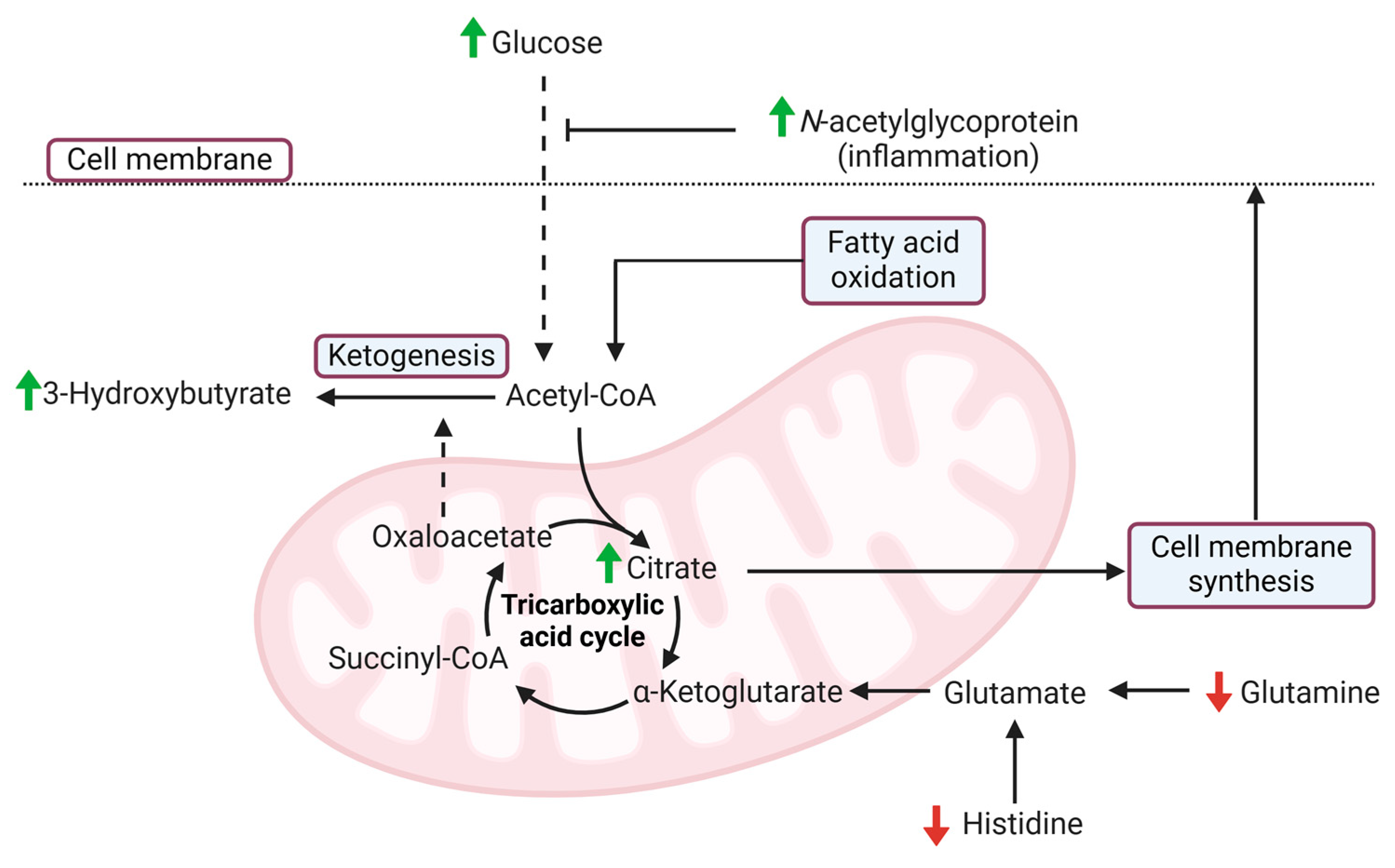 Cancers 17 01150 g004