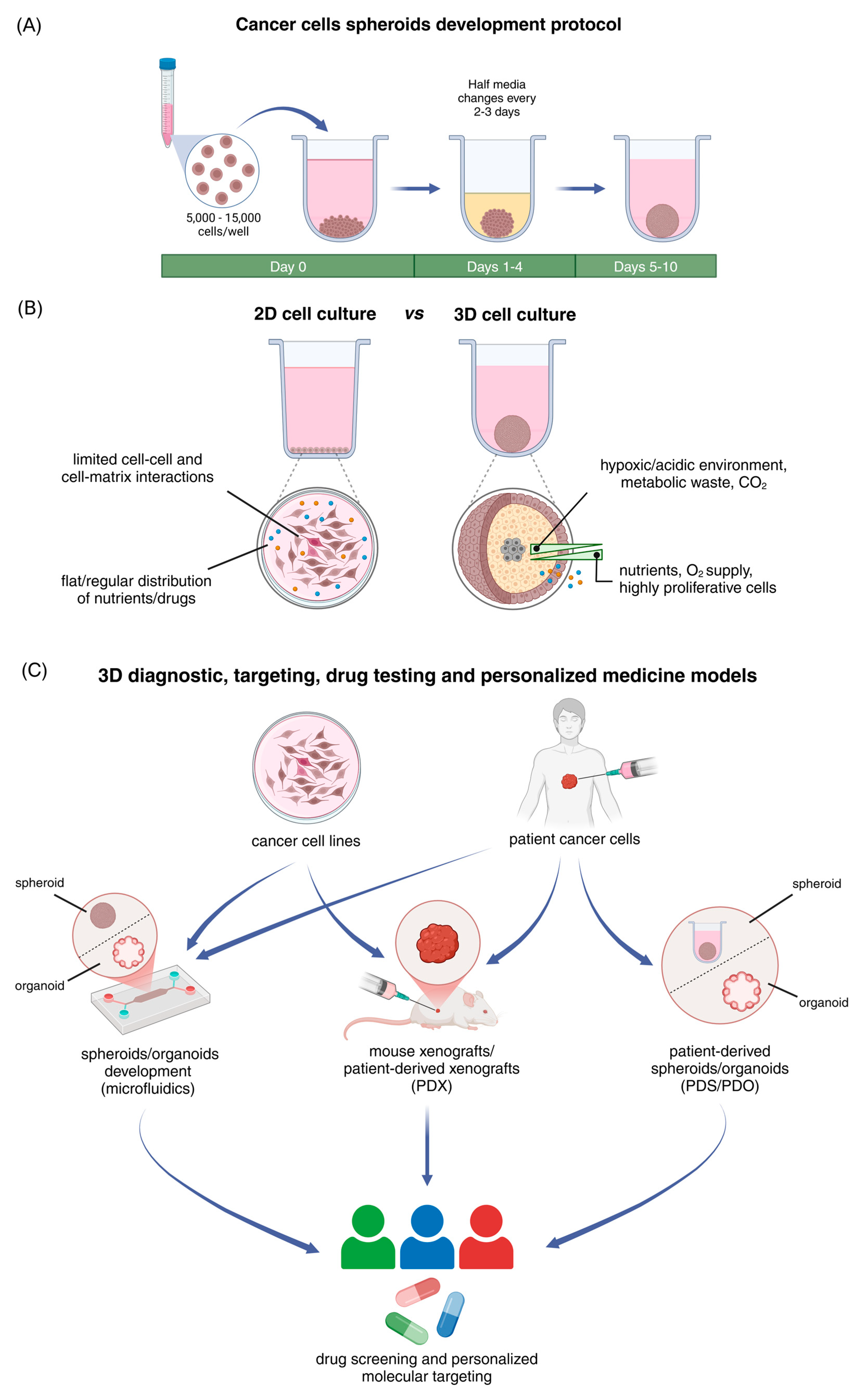 Cancers 17 01161 g001